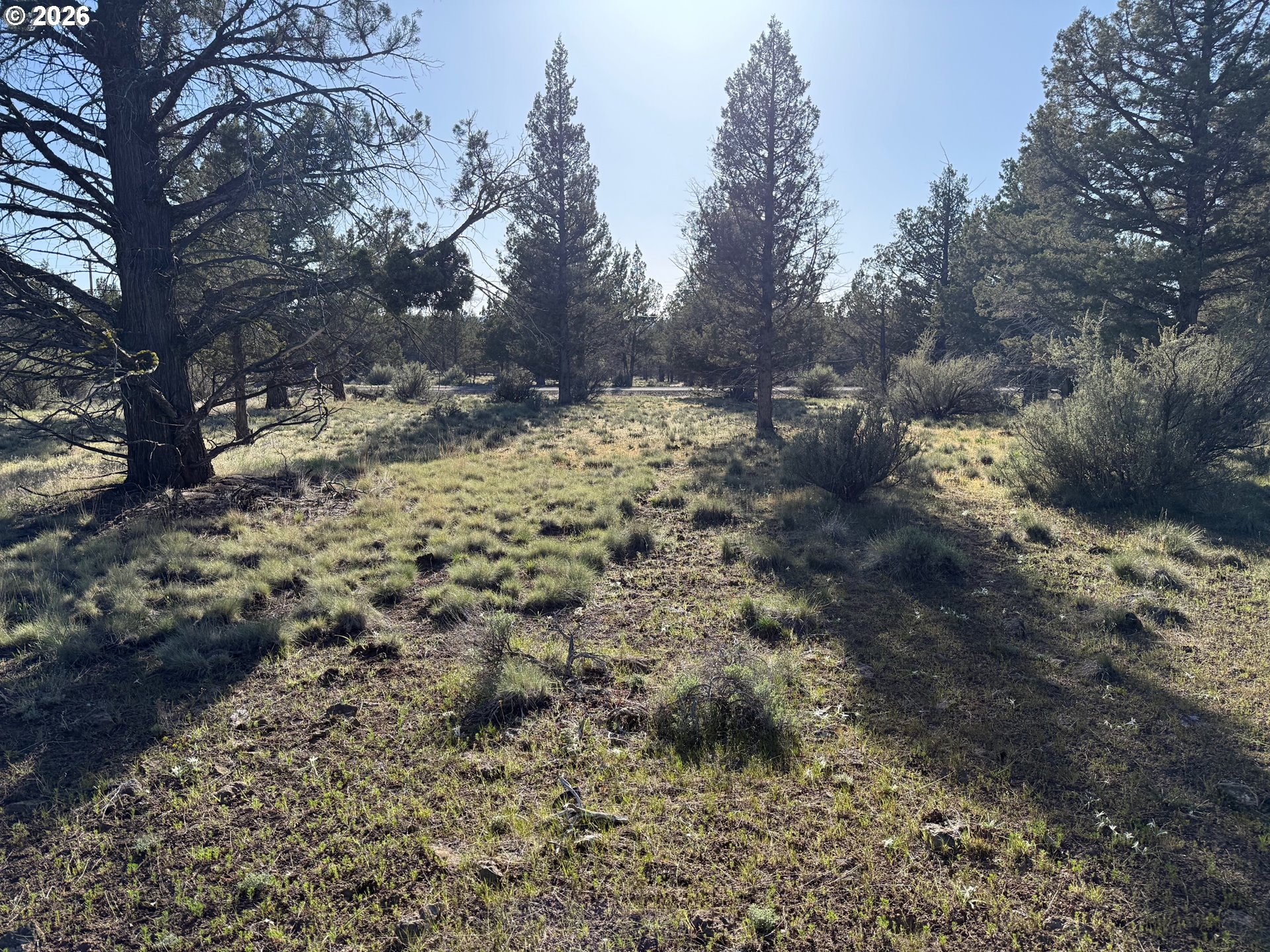 0 Fishhole Creek Rd Property Photo 23