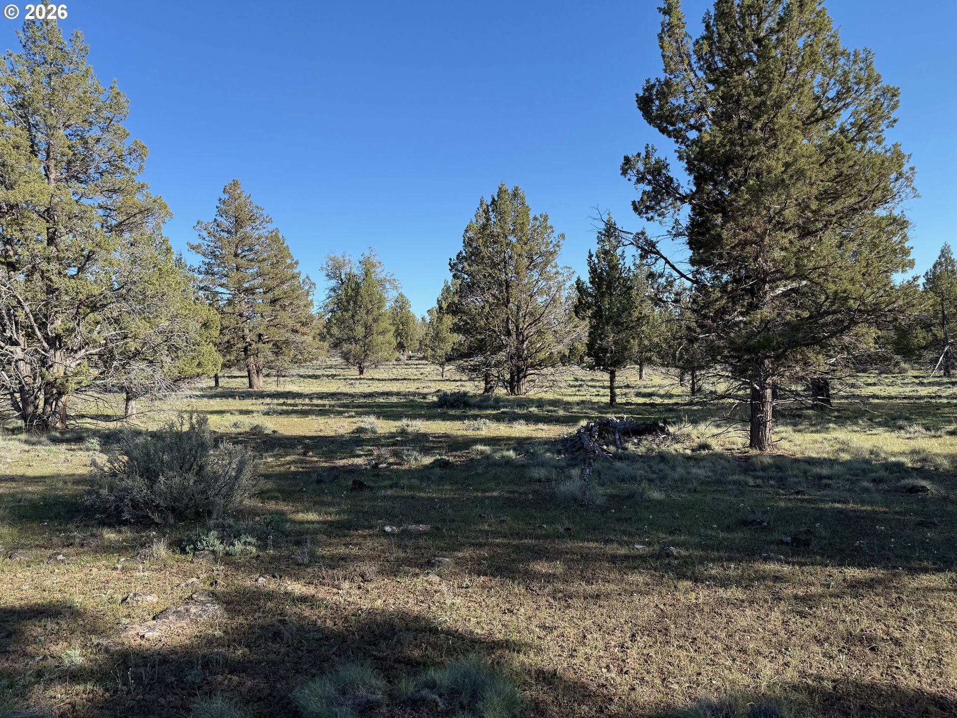 0 Fishhole Creek Rd Property Photo 24