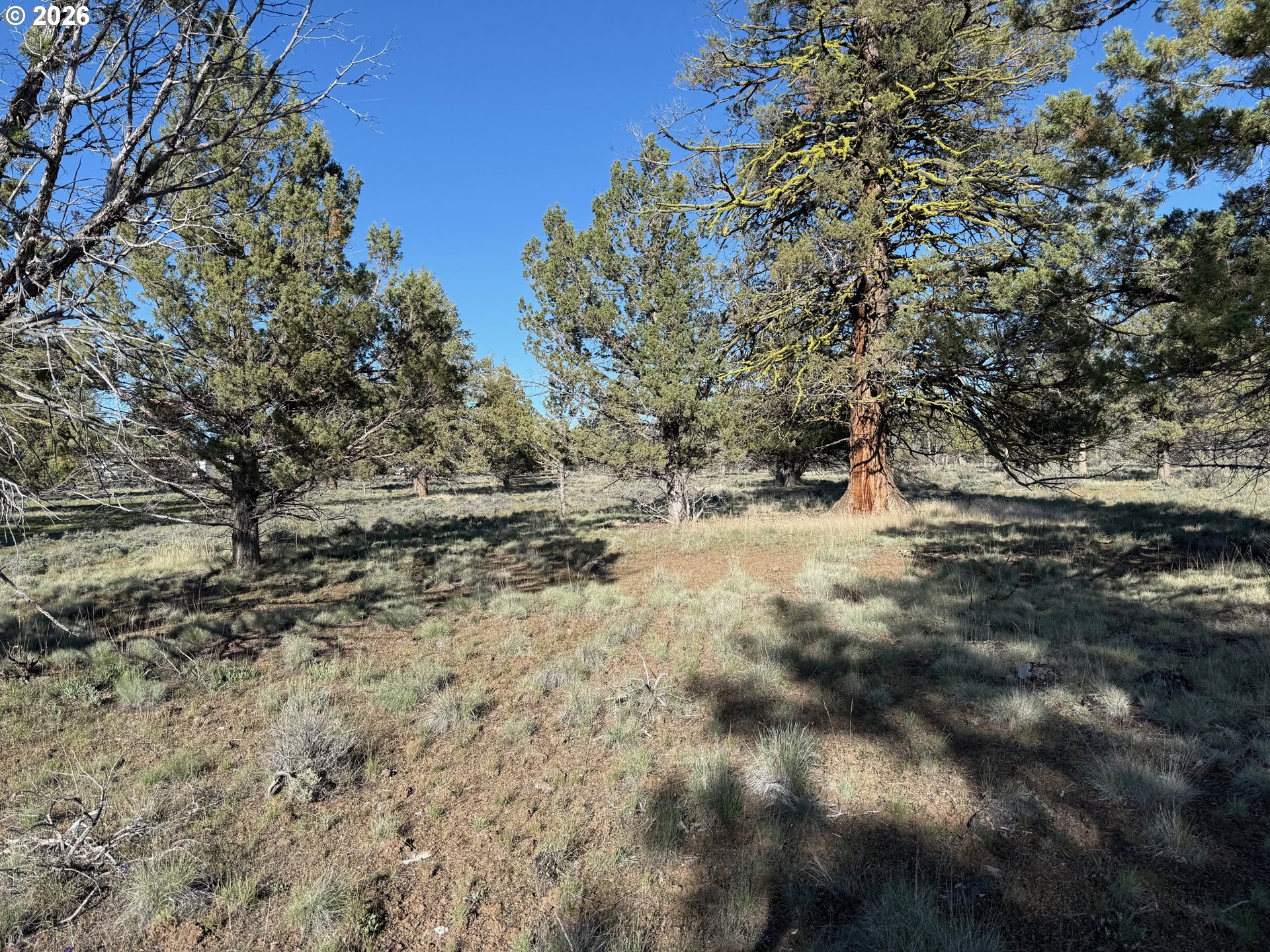 0 Fishhole Creek Rd Property Photo 25