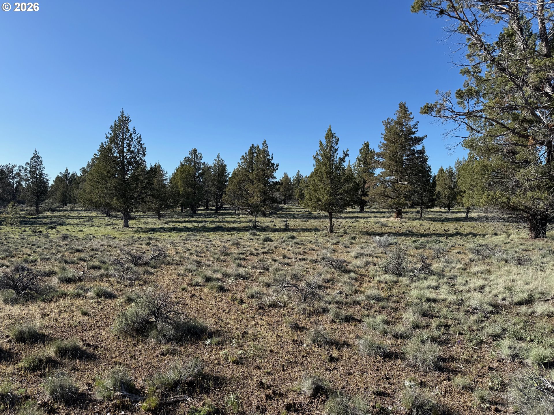 0 Fishhole Creek Rd Property Photo 26