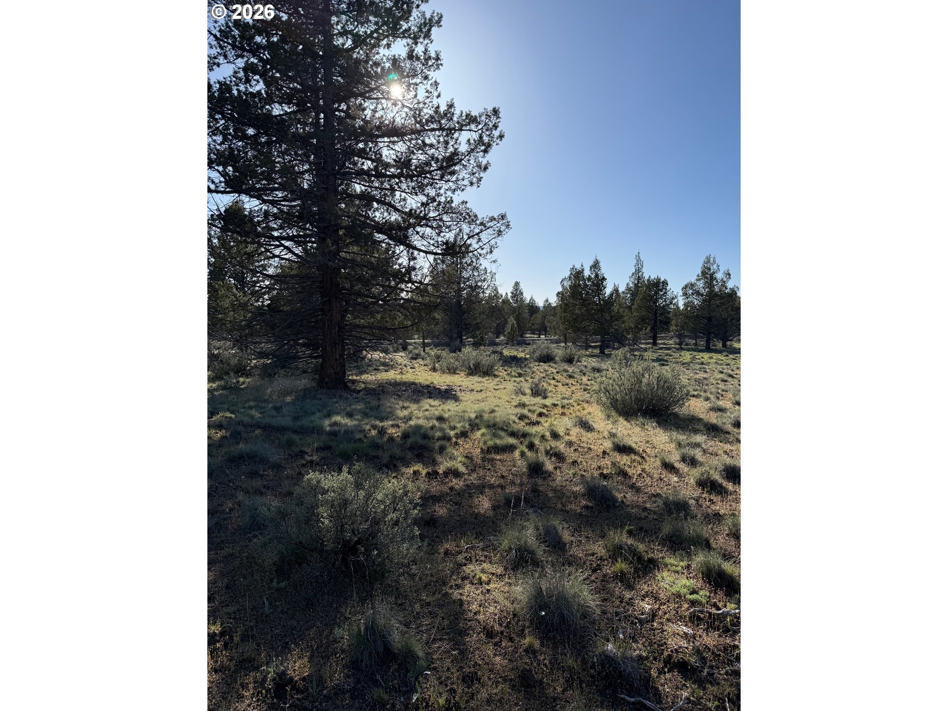 0 Fishhole Creek Rd Property Photo 27