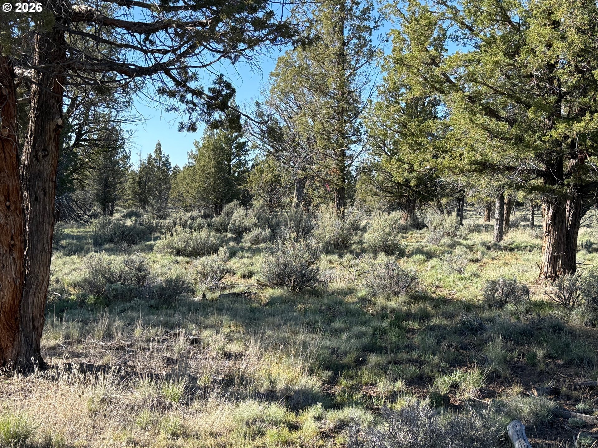 0 Fishhole Creek Rd Property Photo 29