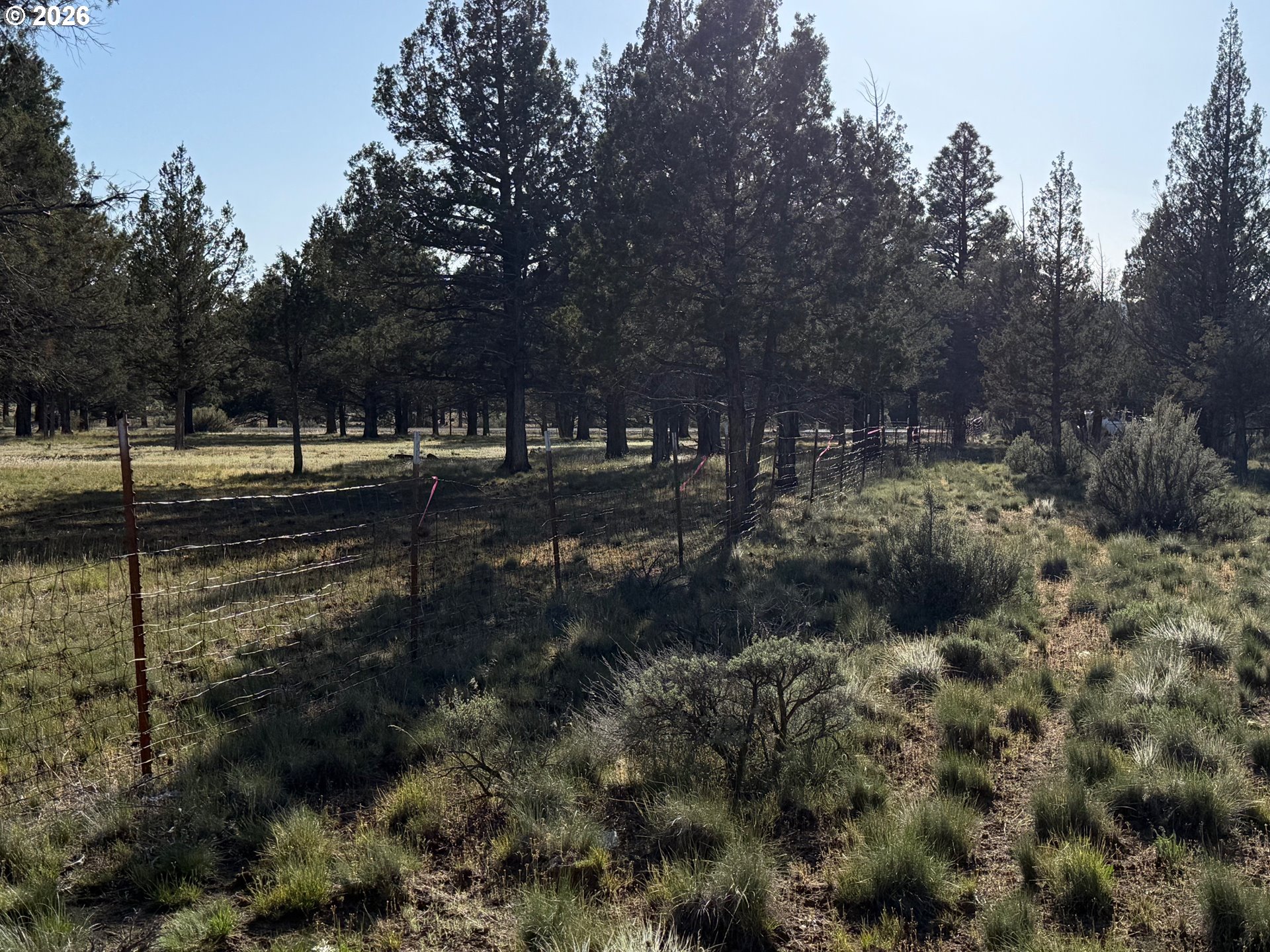 0 Fishhole Creek Rd Property Photo 30