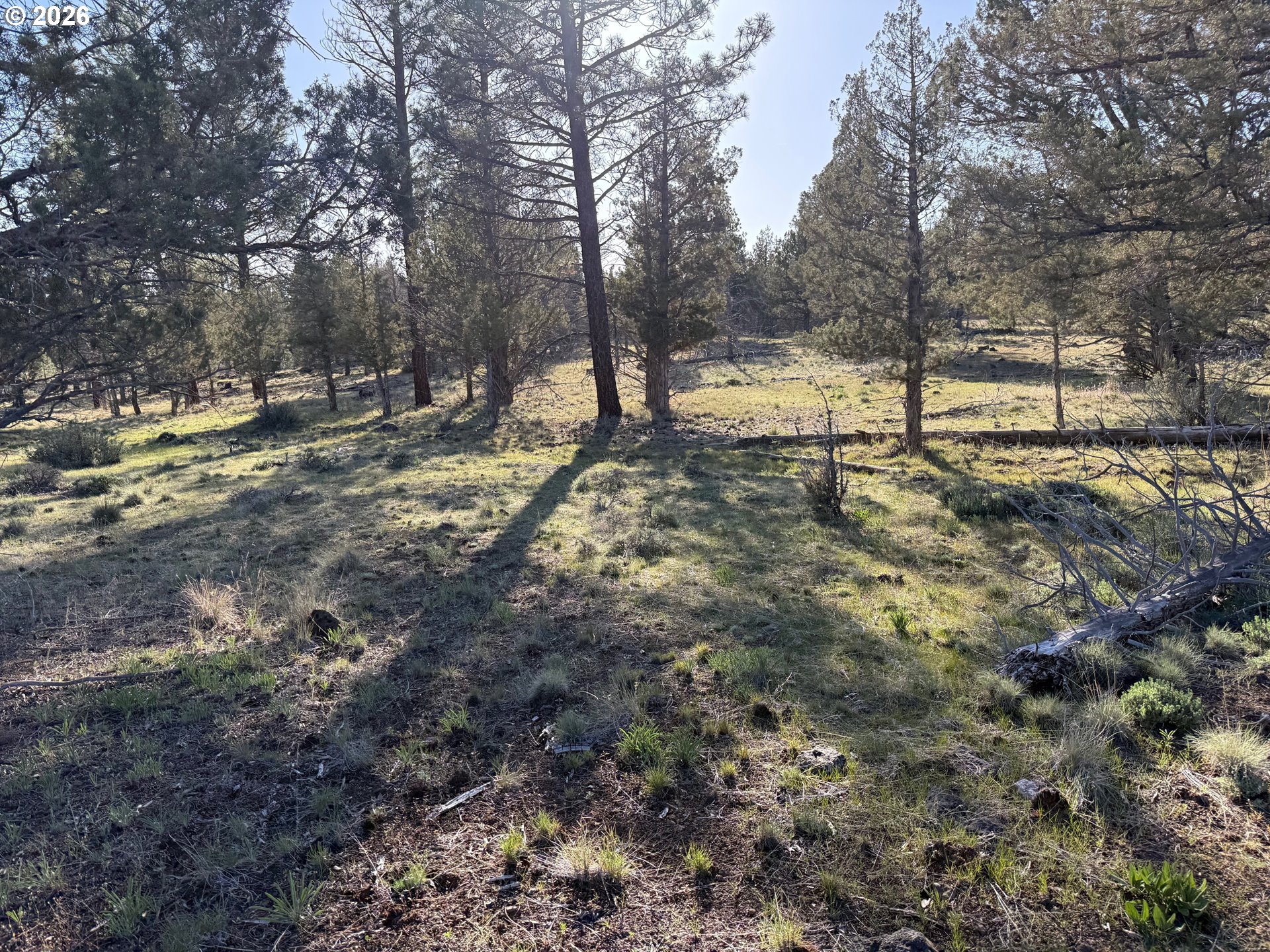 0 Fishhole Creek Rd Property Photo 32