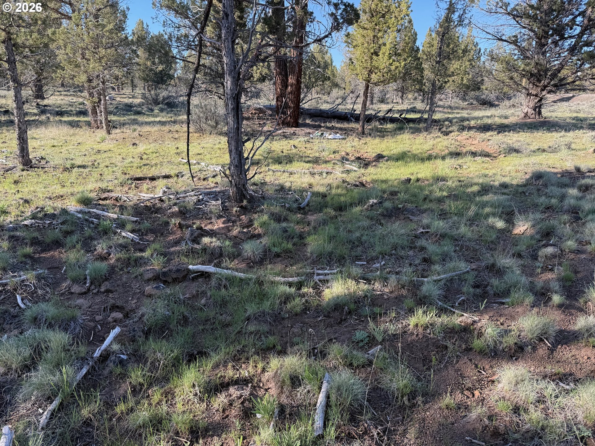 0 Fishhole Creek Rd Property Photo 33