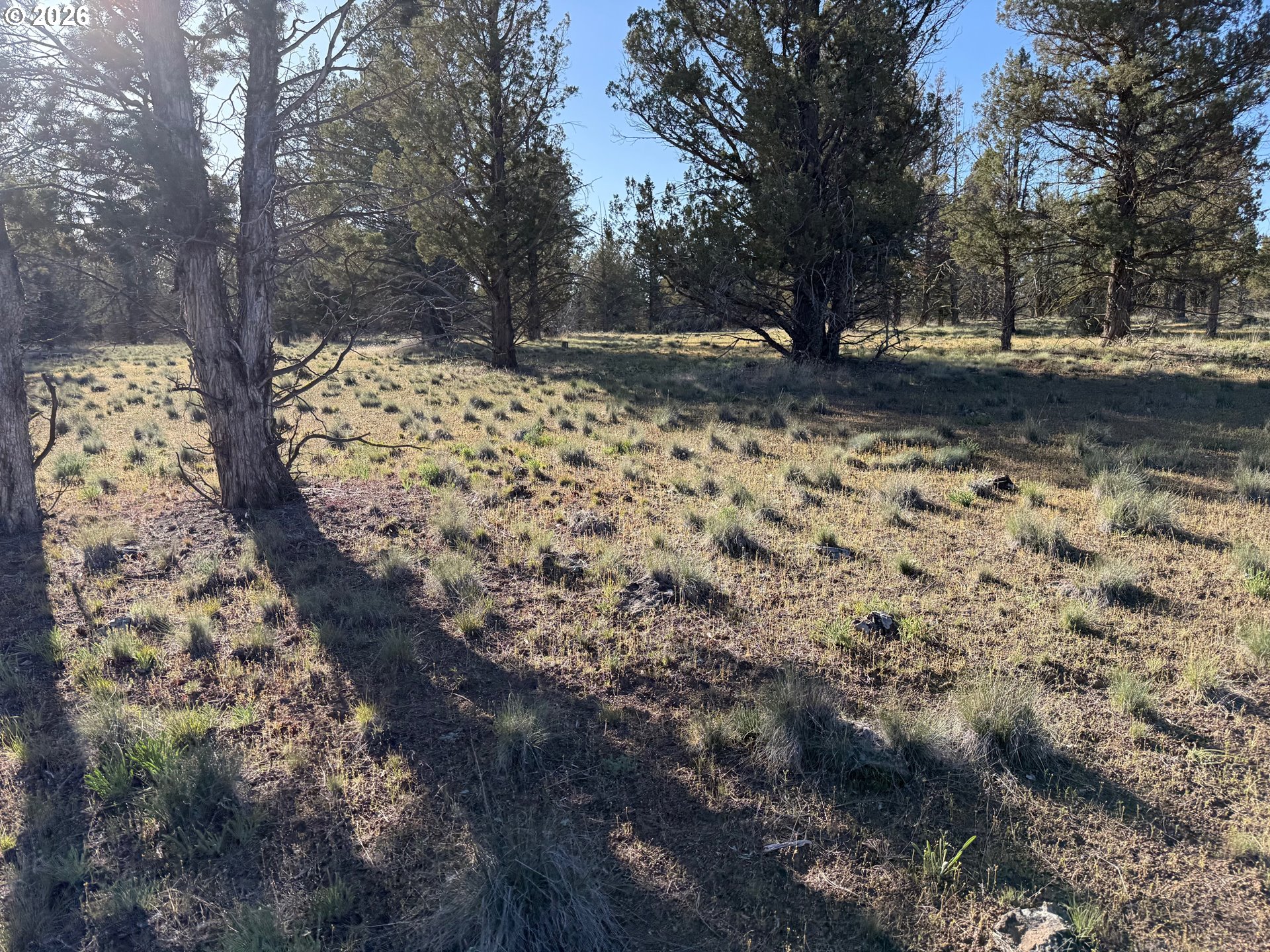 0 Fishhole Creek Rd Property Photo 34