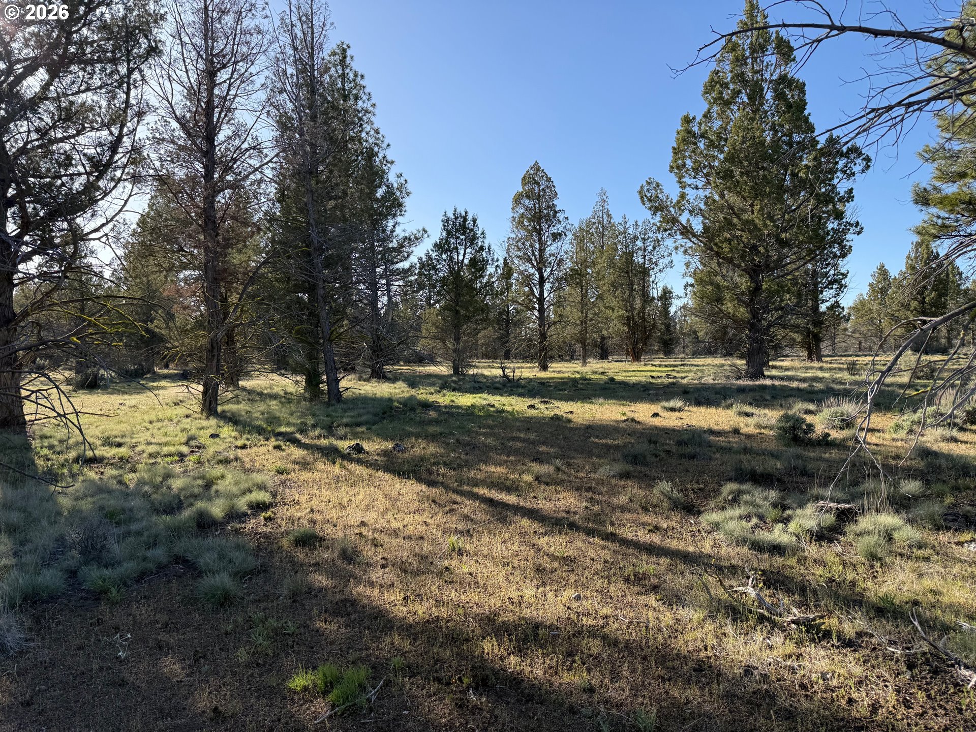 0 Fishhole Creek Rd Property Photo 35