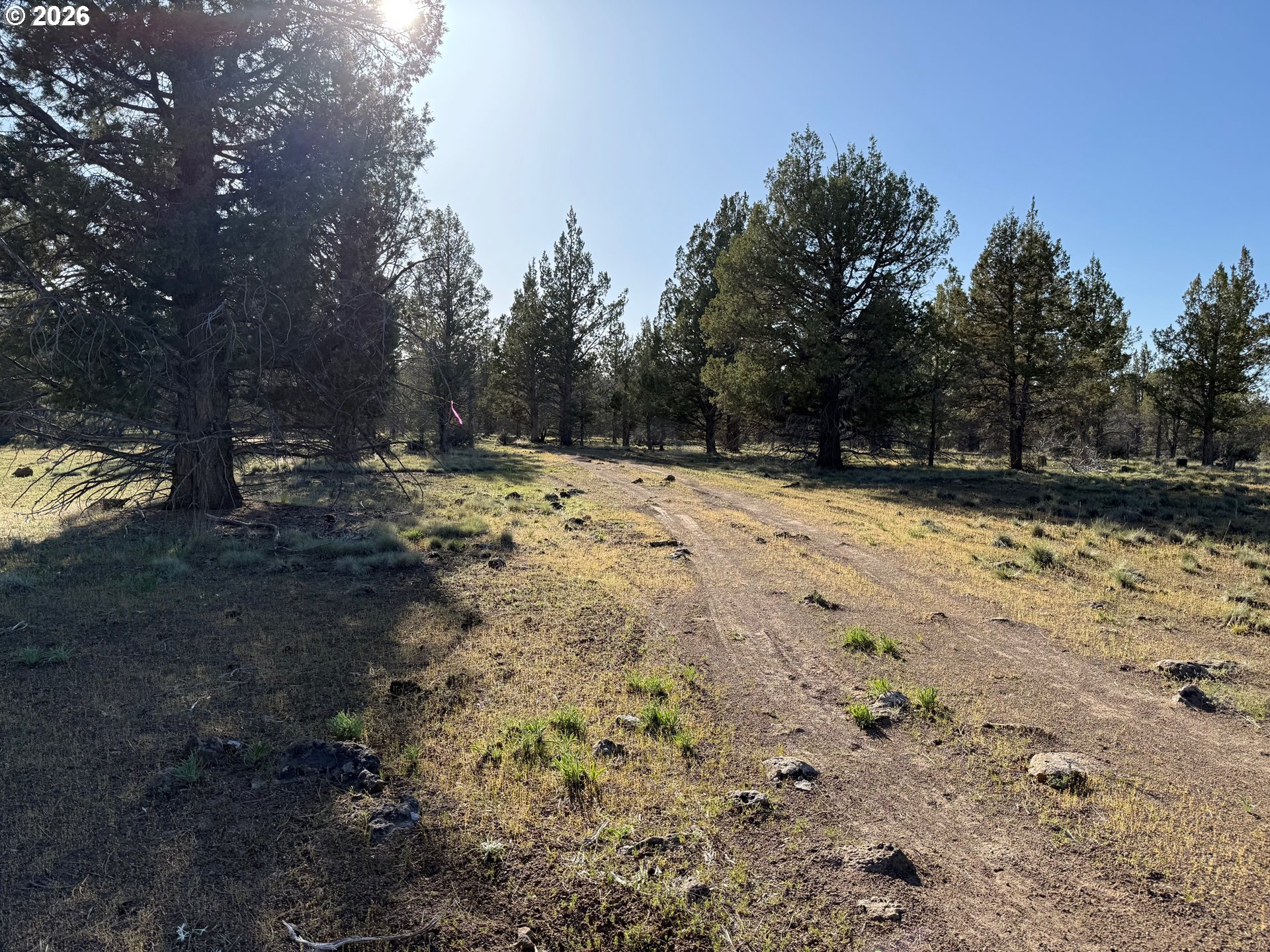 0 Fishhole Creek Rd Property Photo 37