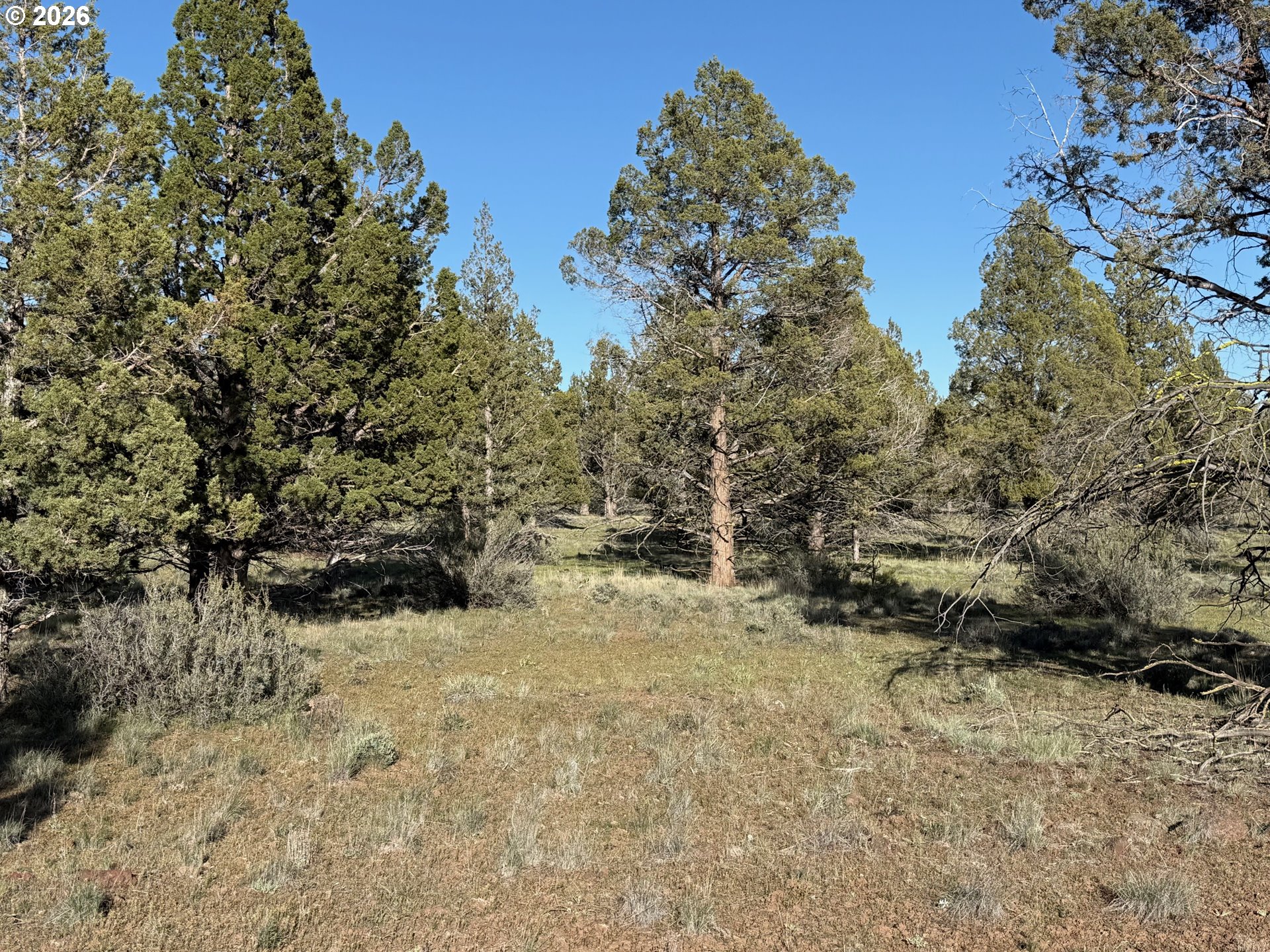 0 Fishhole Creek Rd Property Photo 38