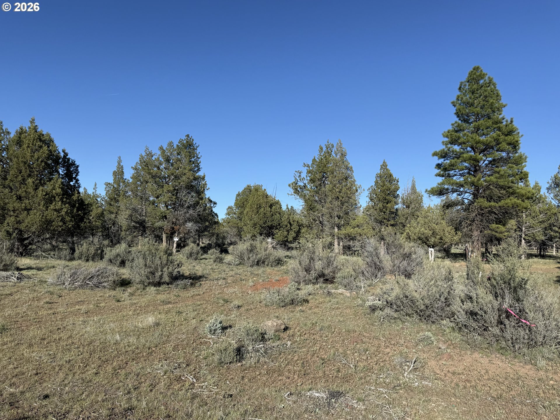 0 Fishhole Creek Rd Property Photo 40