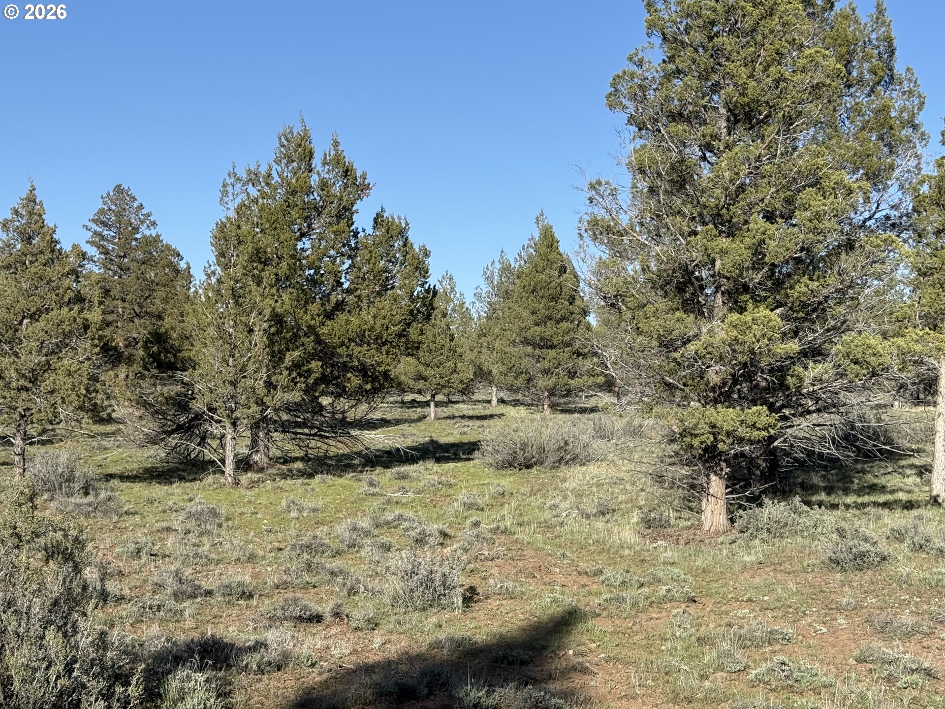 0 Fishhole Creek Rd Property Photo 43
