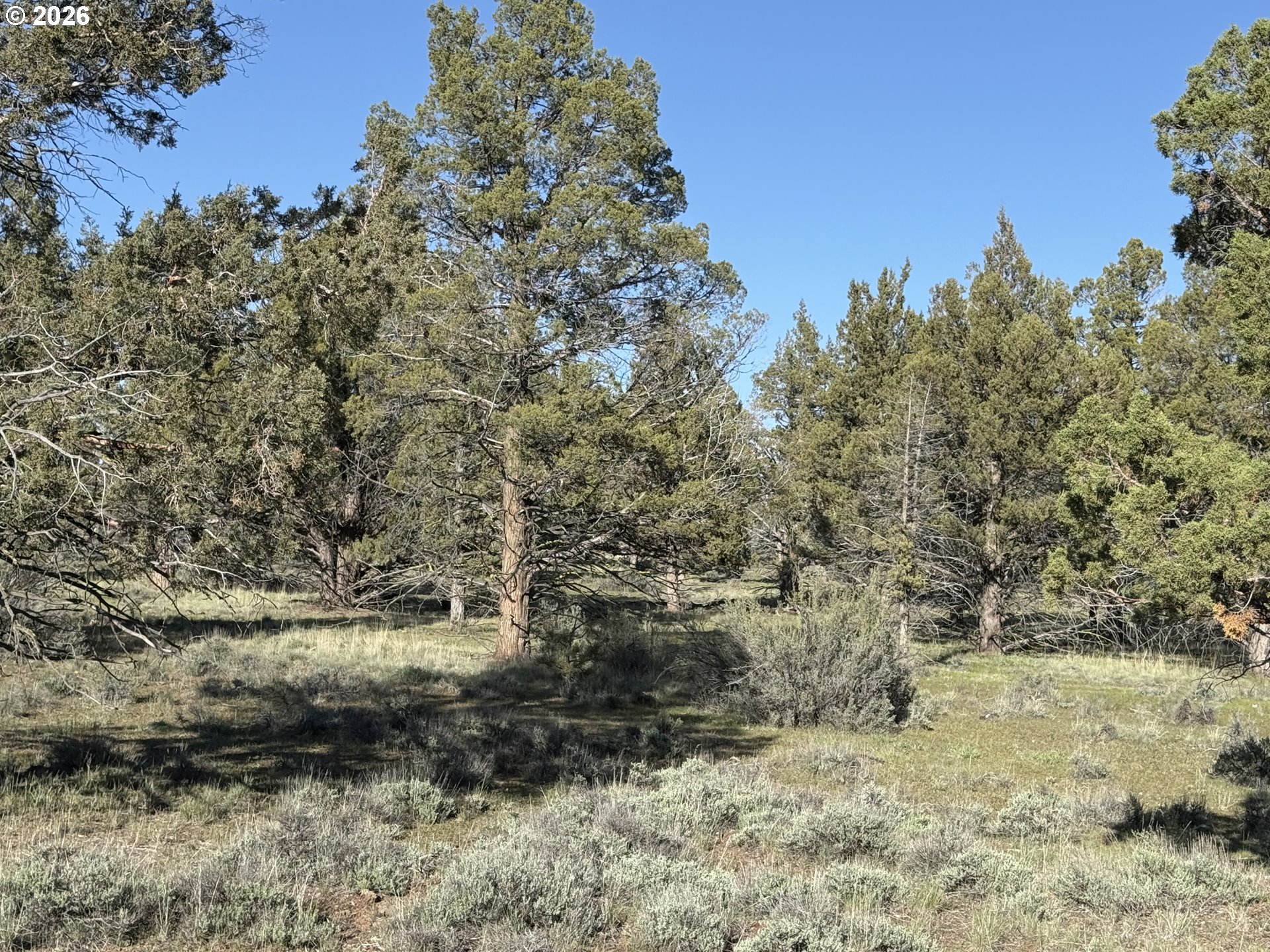 0 Fishhole Creek Rd Property Photo 44