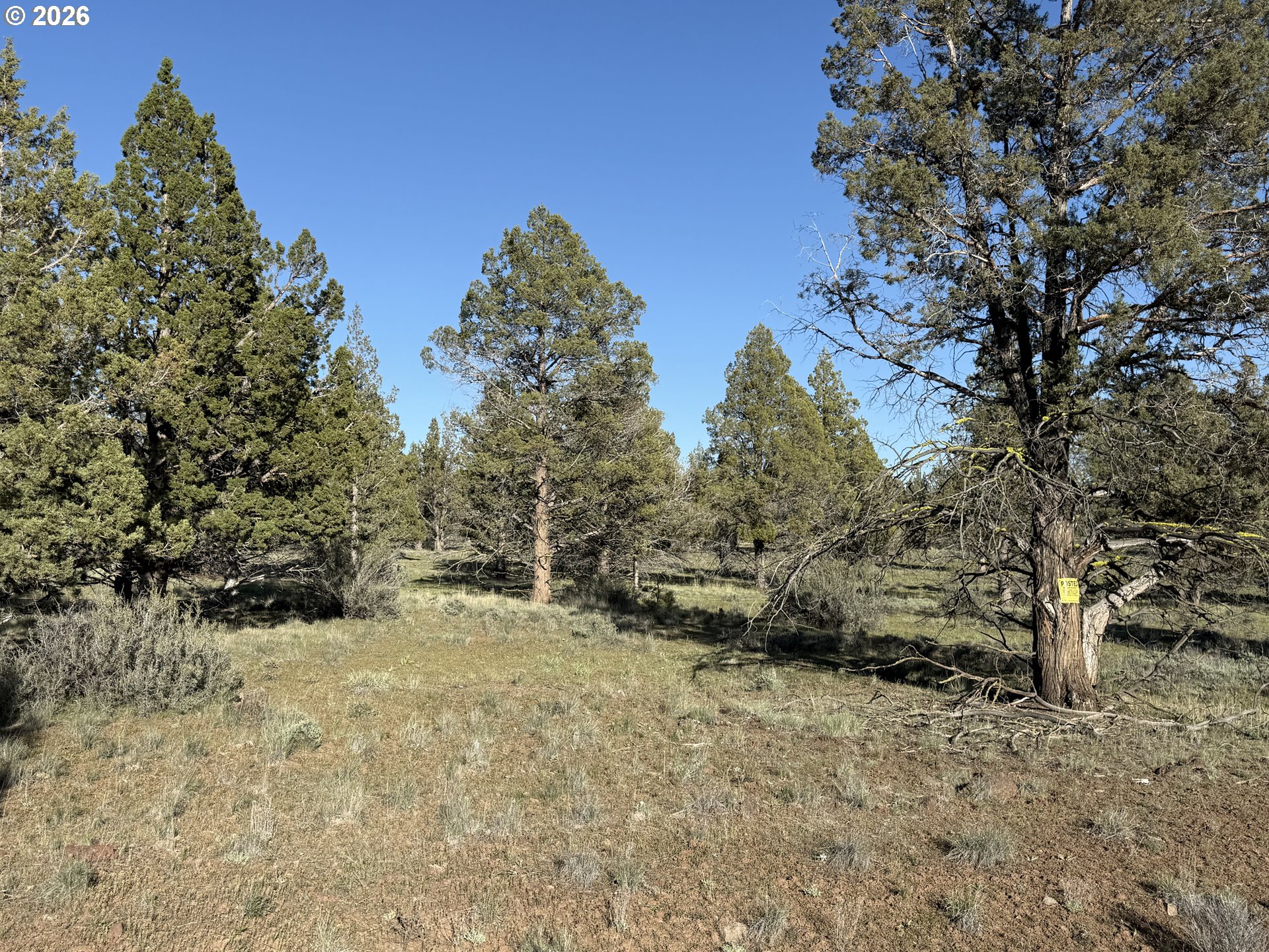 0 Fishhole Creek Rd Property Photo 45