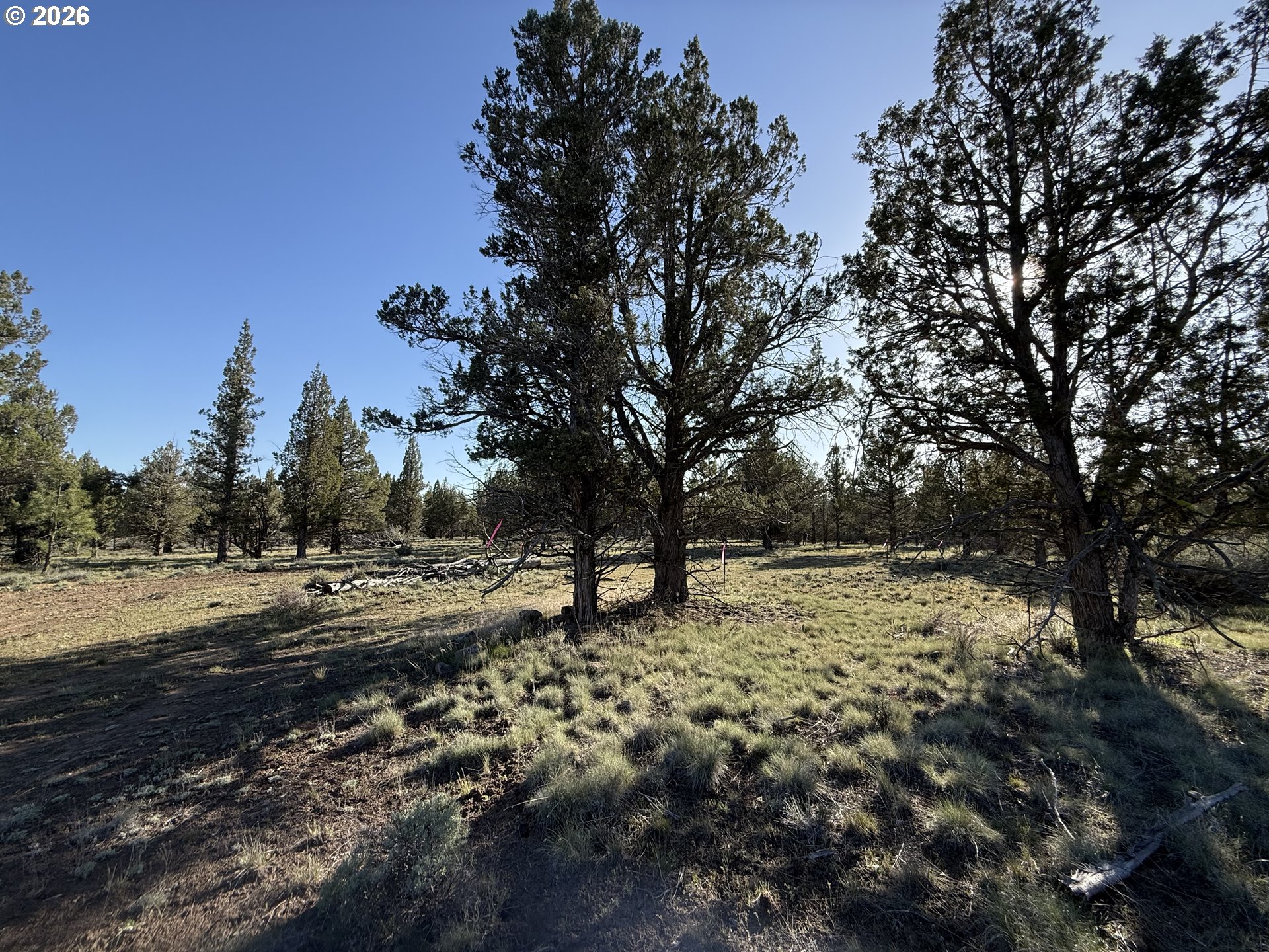 0 Fishhole Creek Rd Property Photo 47
