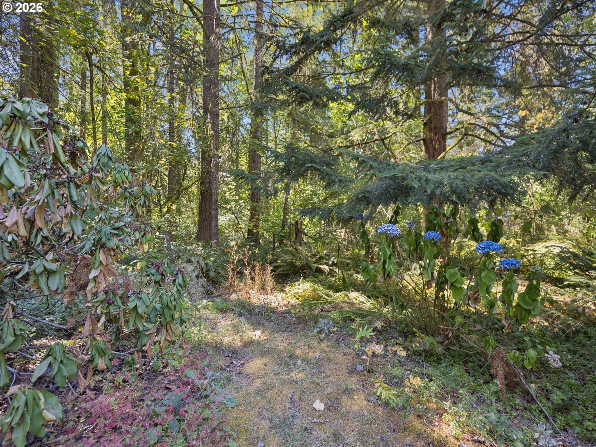 22073 E Wild Fern Ln Property Photo 35