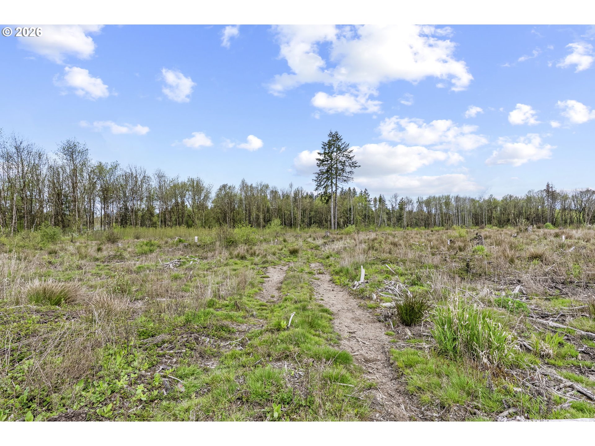 4949 Jackson Hwy N Property Photo 26
