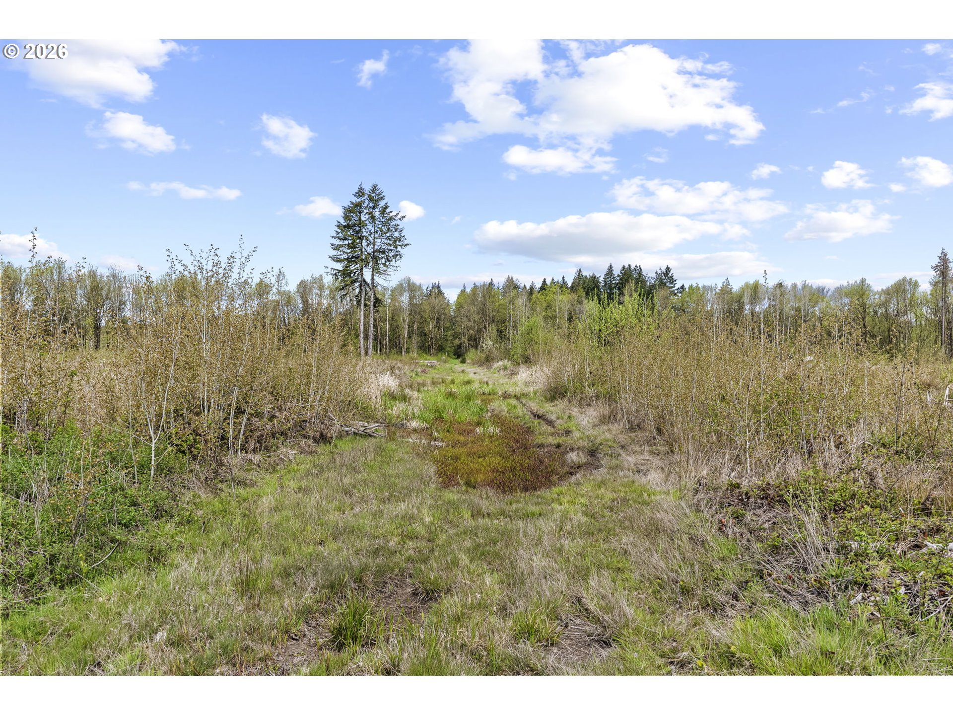 4949 Jackson Hwy N Property Photo 31