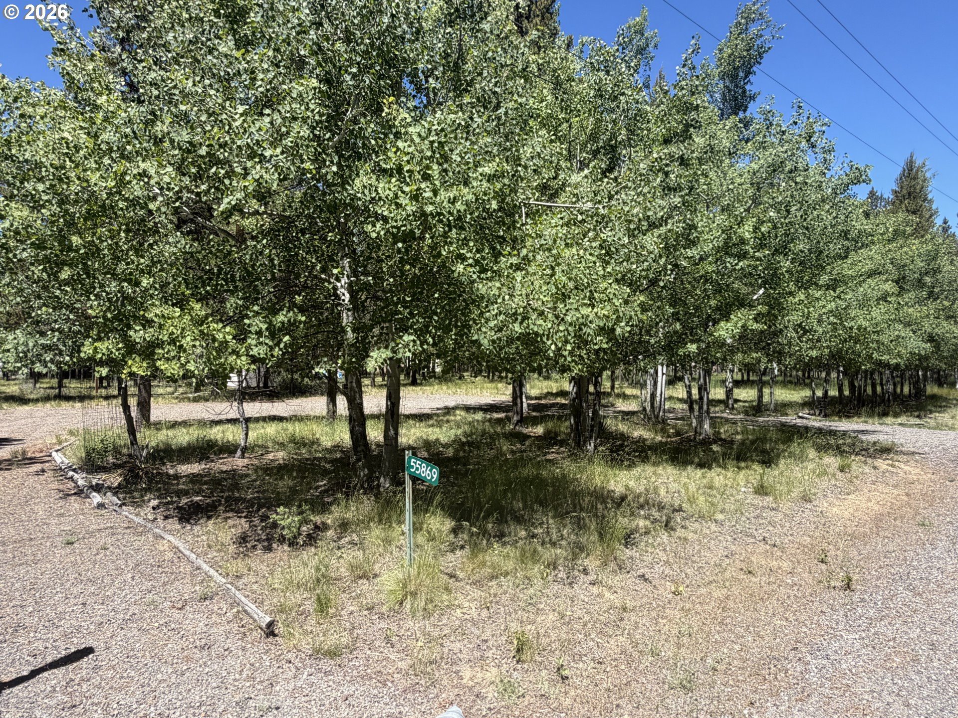 55869 Black Duck Rd Property Photo 4