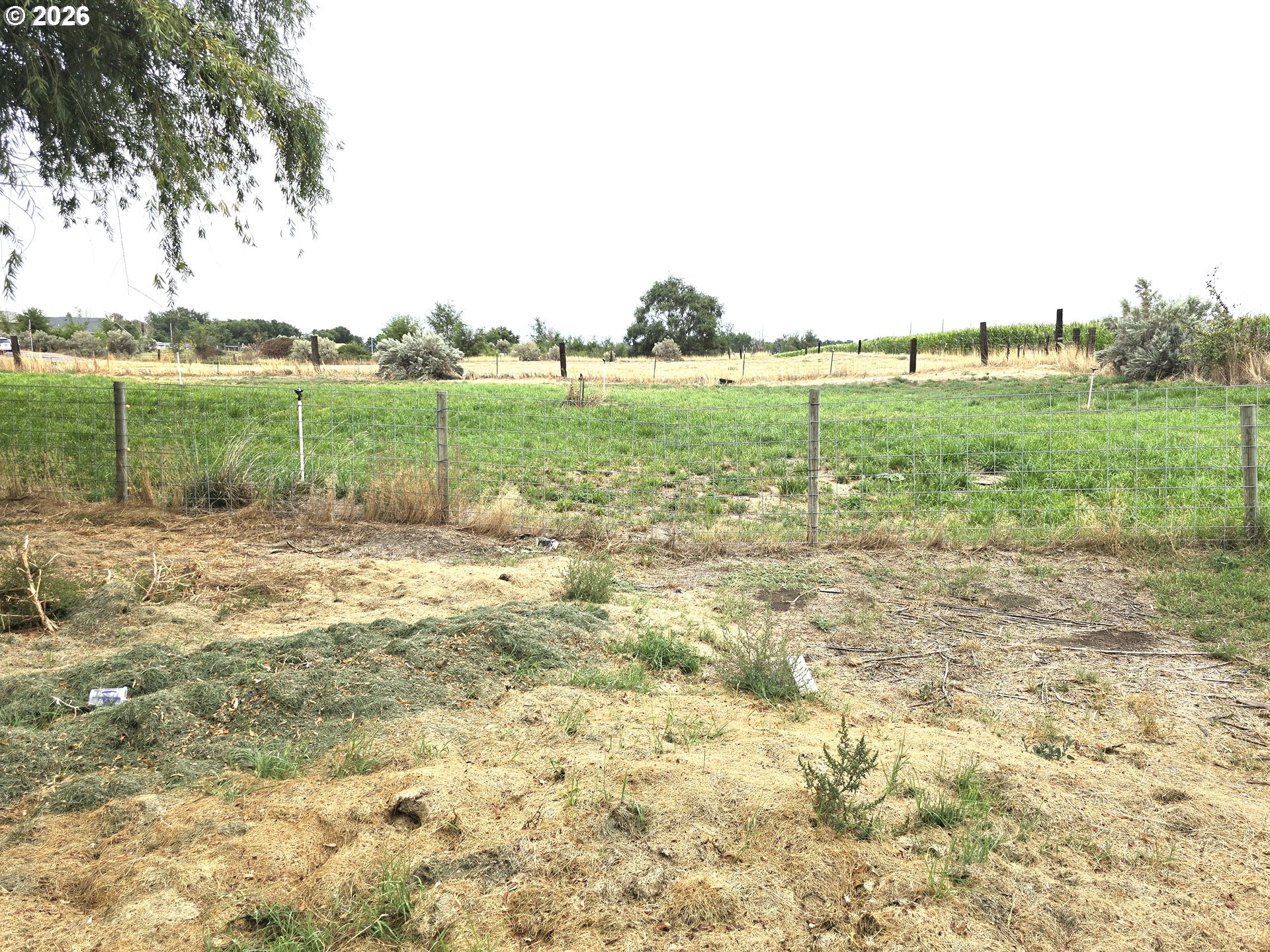 79953 Ross Ln Property Photo 47