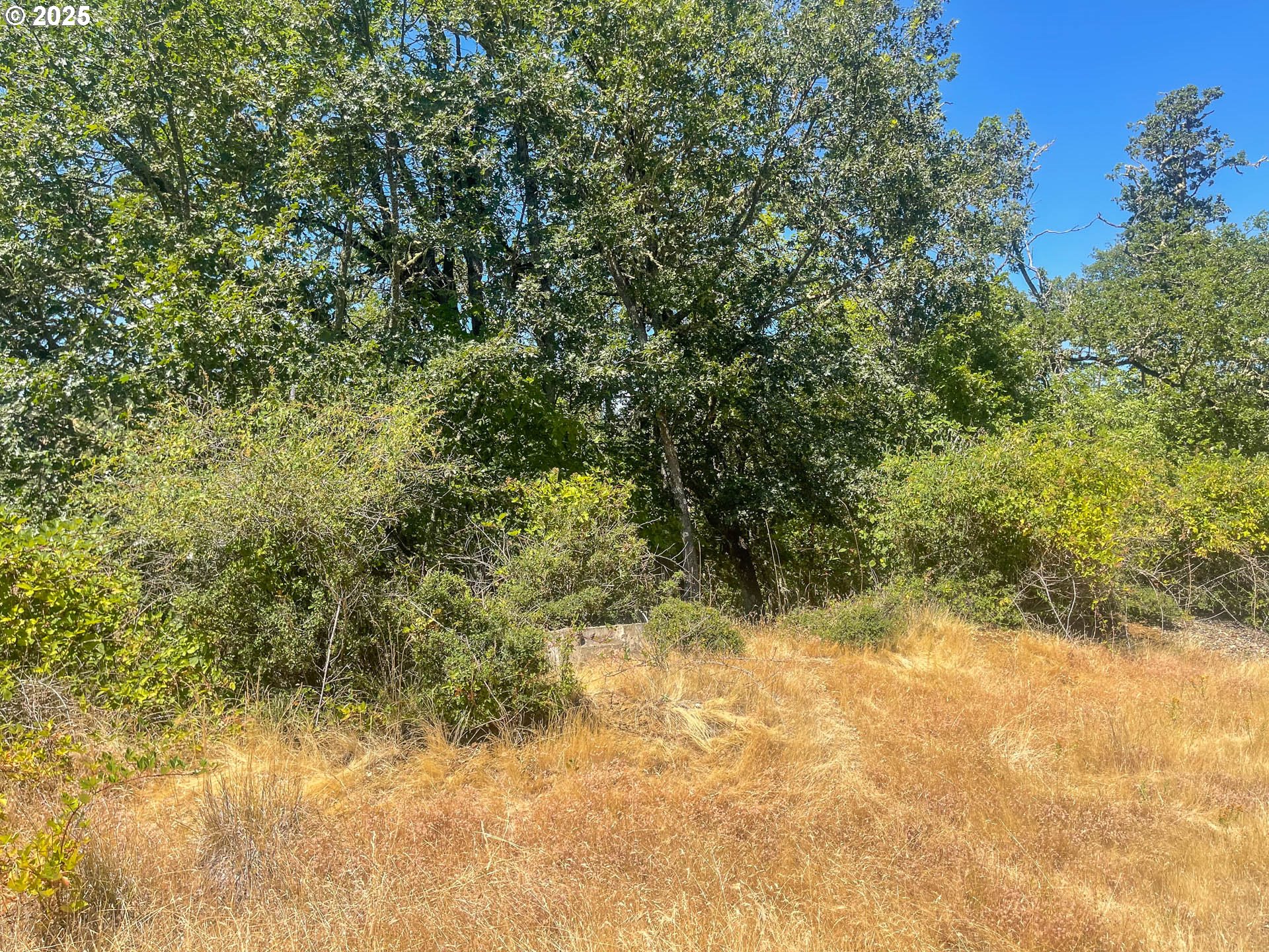 0 Ne Alameda Ave Property Photo 3