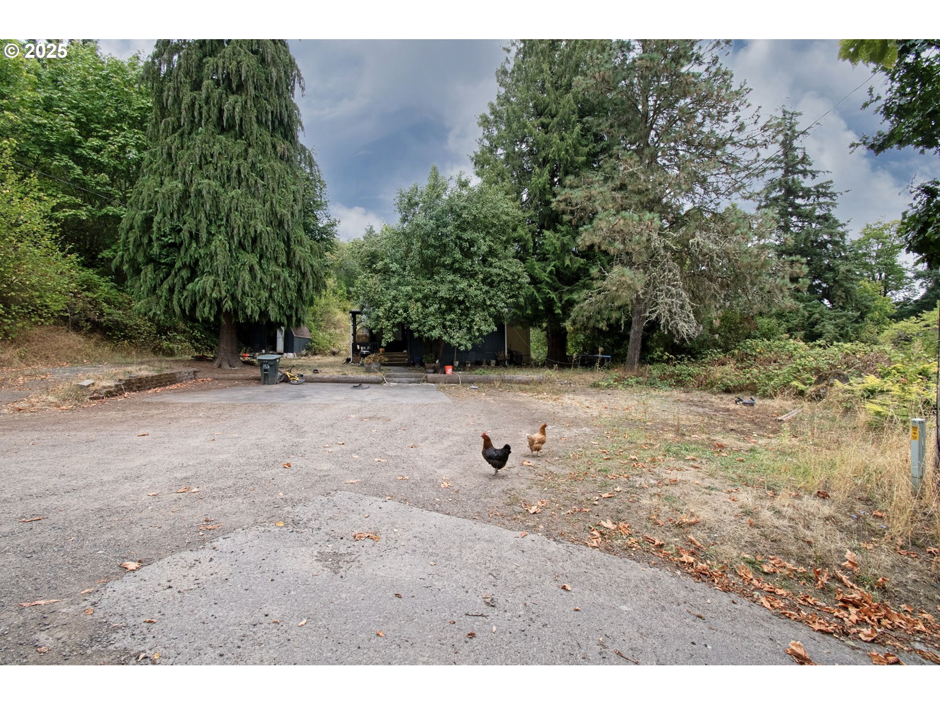406 Chehalis Property Photo 3