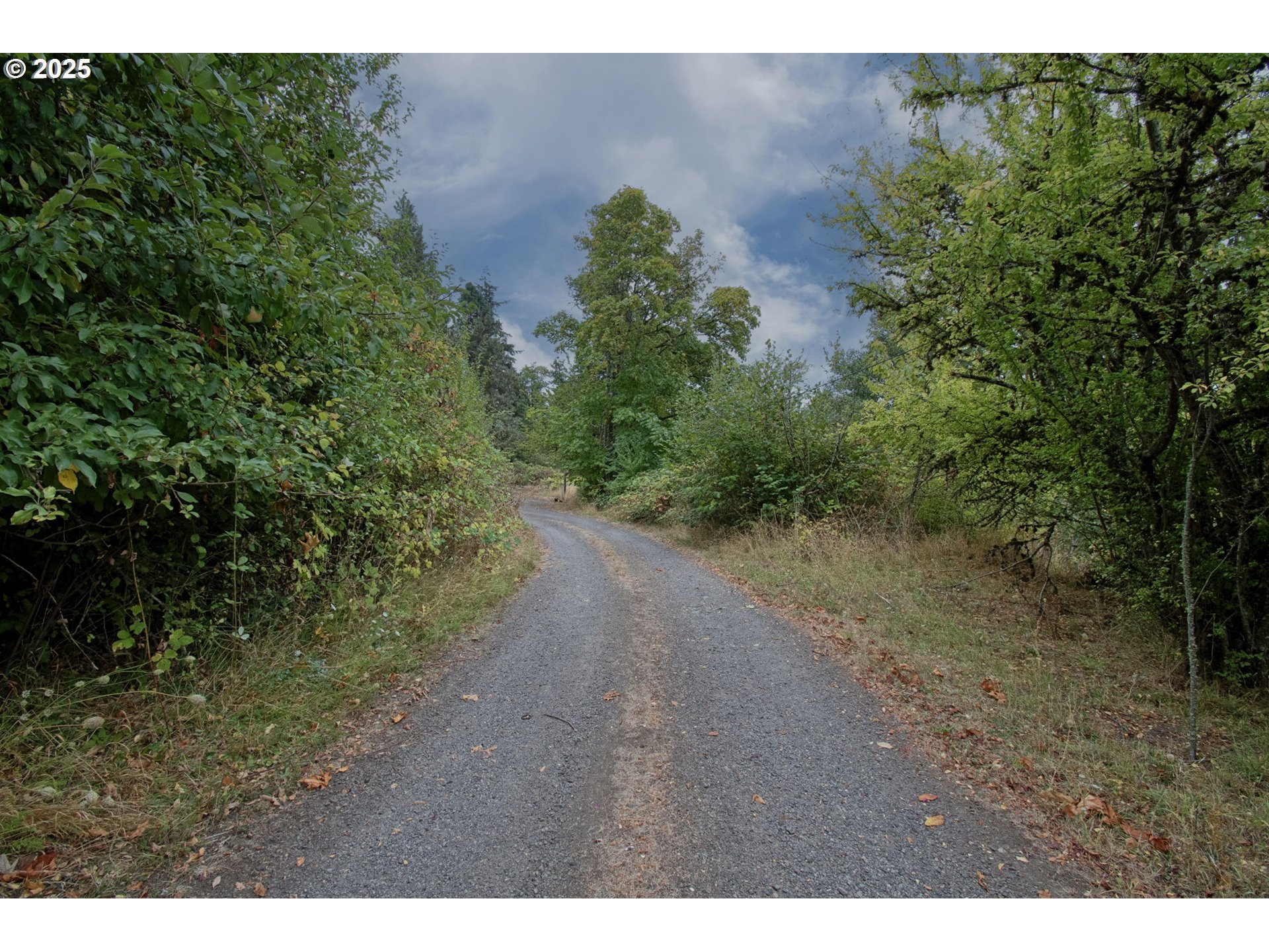 406 Chehalis Property Photo 4