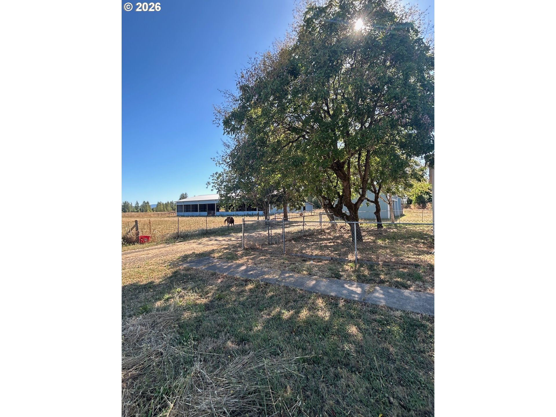 24100 Sw Dejong Rd Property Photo 4