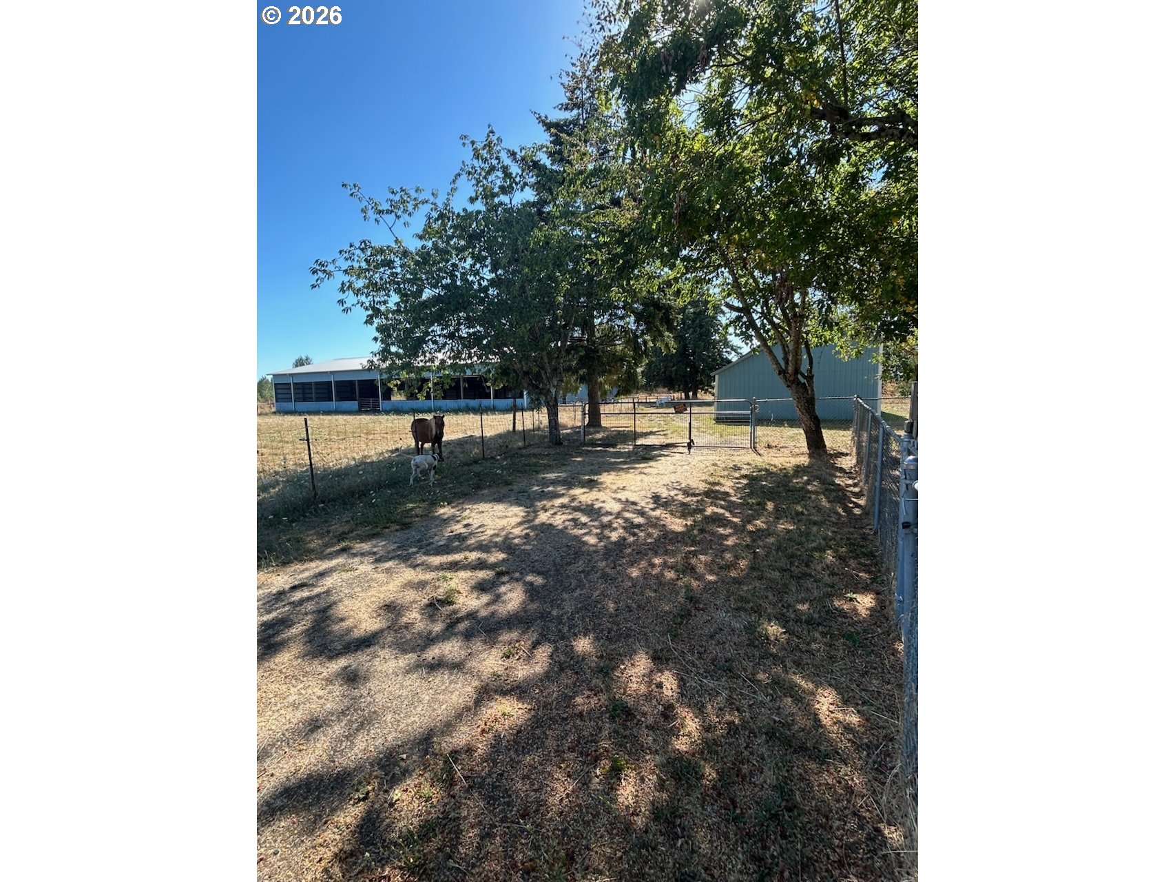 24100 Sw Dejong Rd Property Photo 5