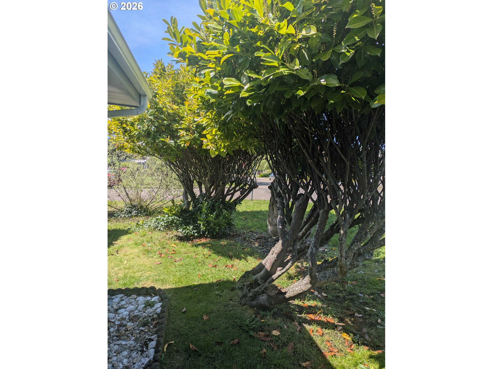 1116 7th St Property Photo 15