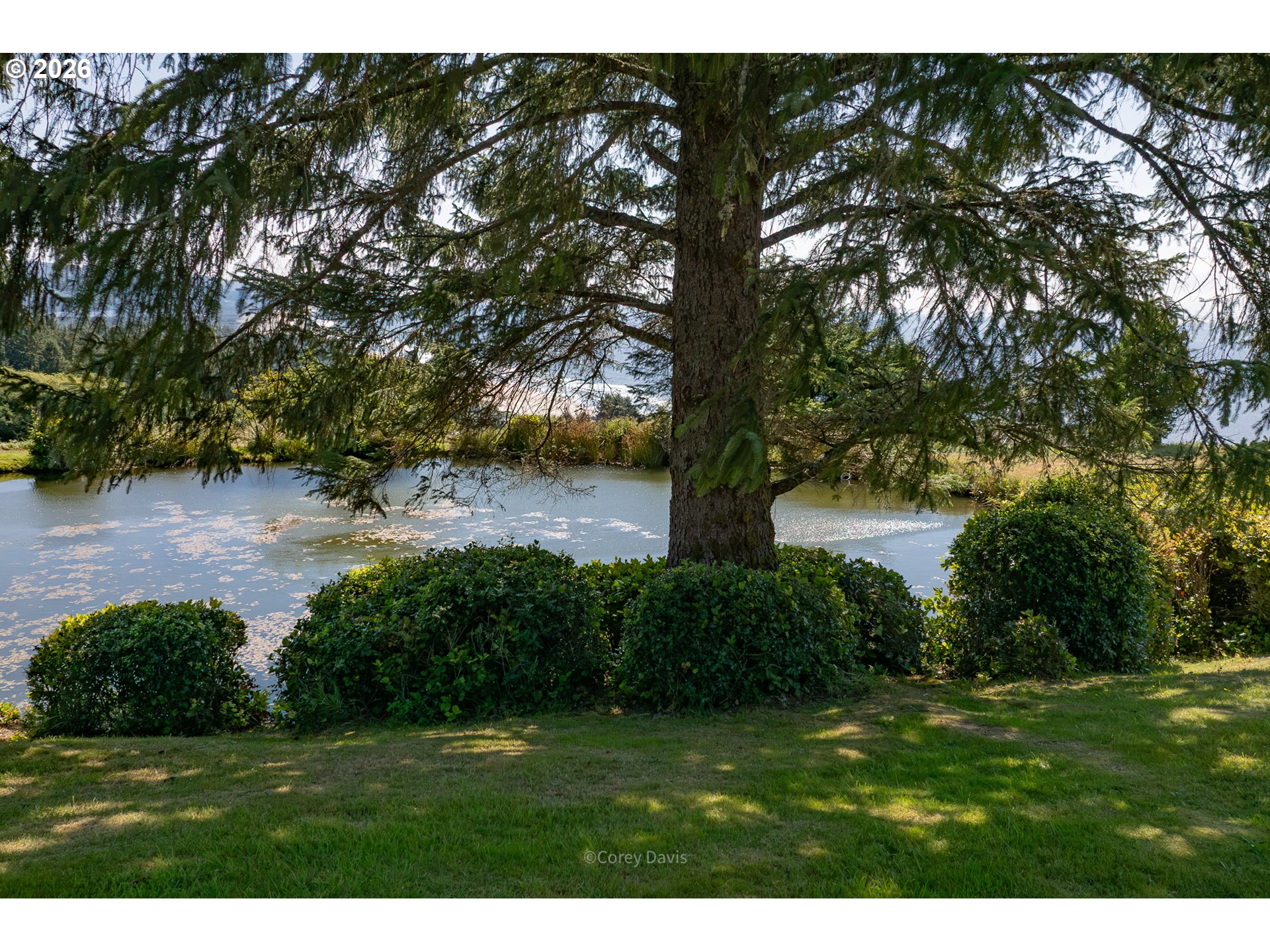 38410 Meadow Loop Property Photo 10