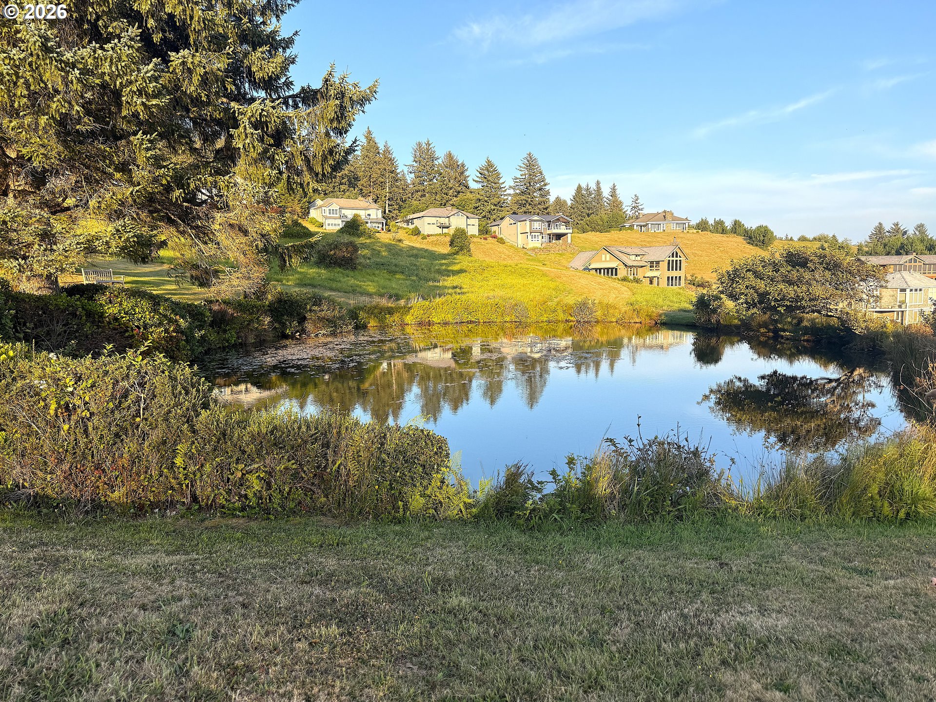 38410 Meadow Loop Property Photo 11