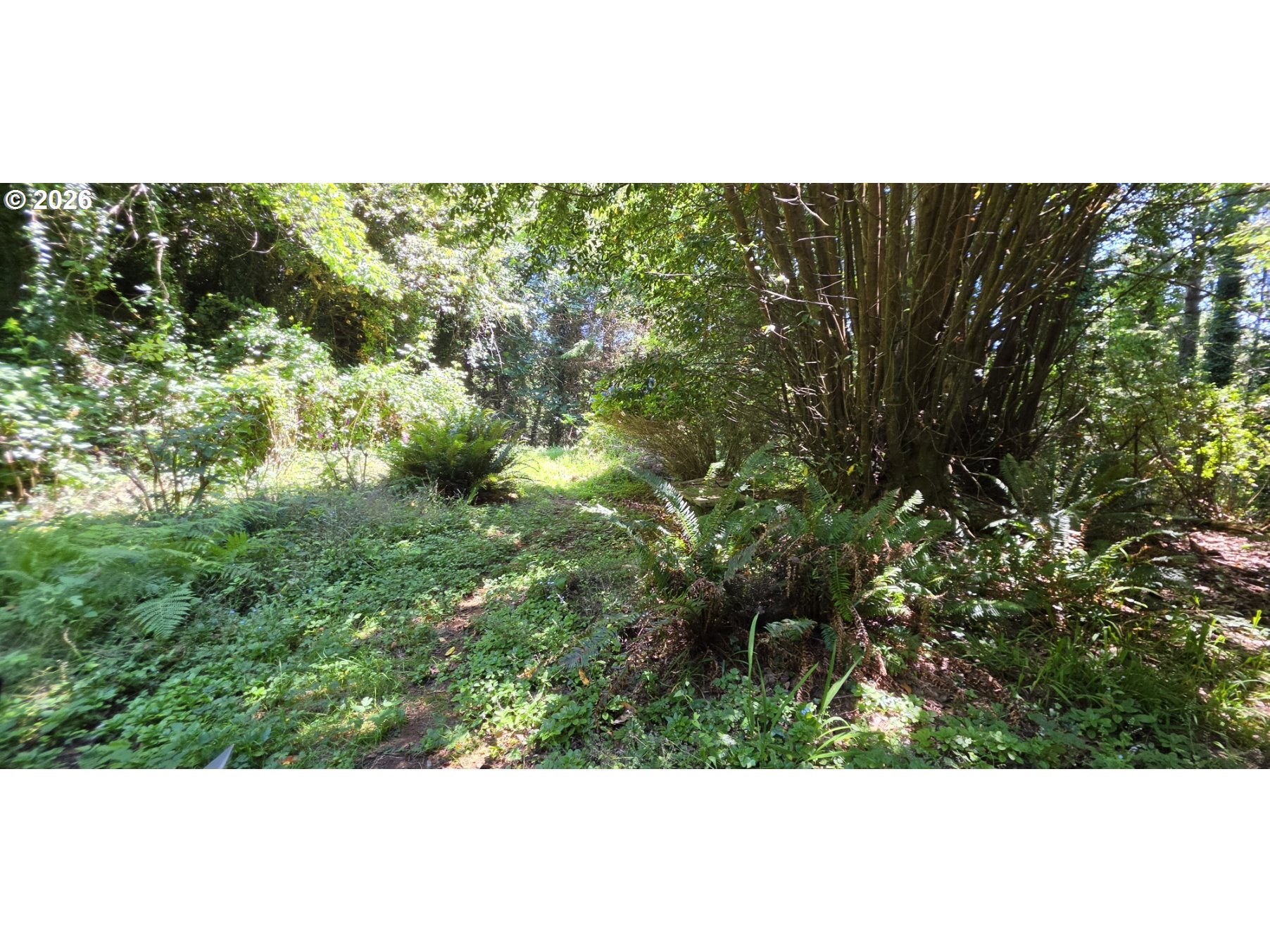 28413 Mateer Rd Property Photo 36