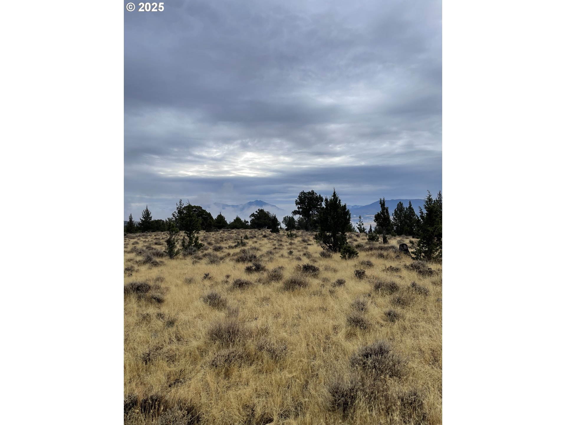 0 Wiley Creek Rd Property Photo 1