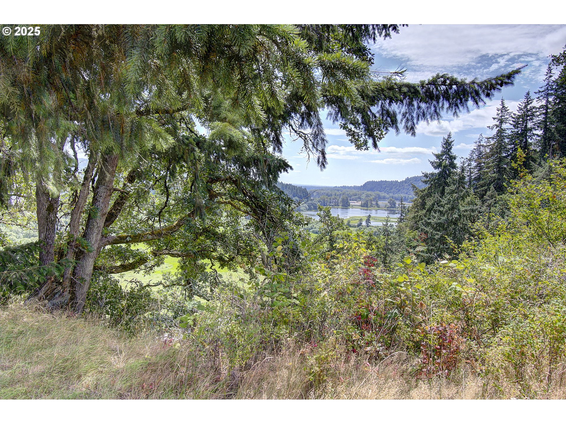 Little Jack Falls Rd Property Photo 16