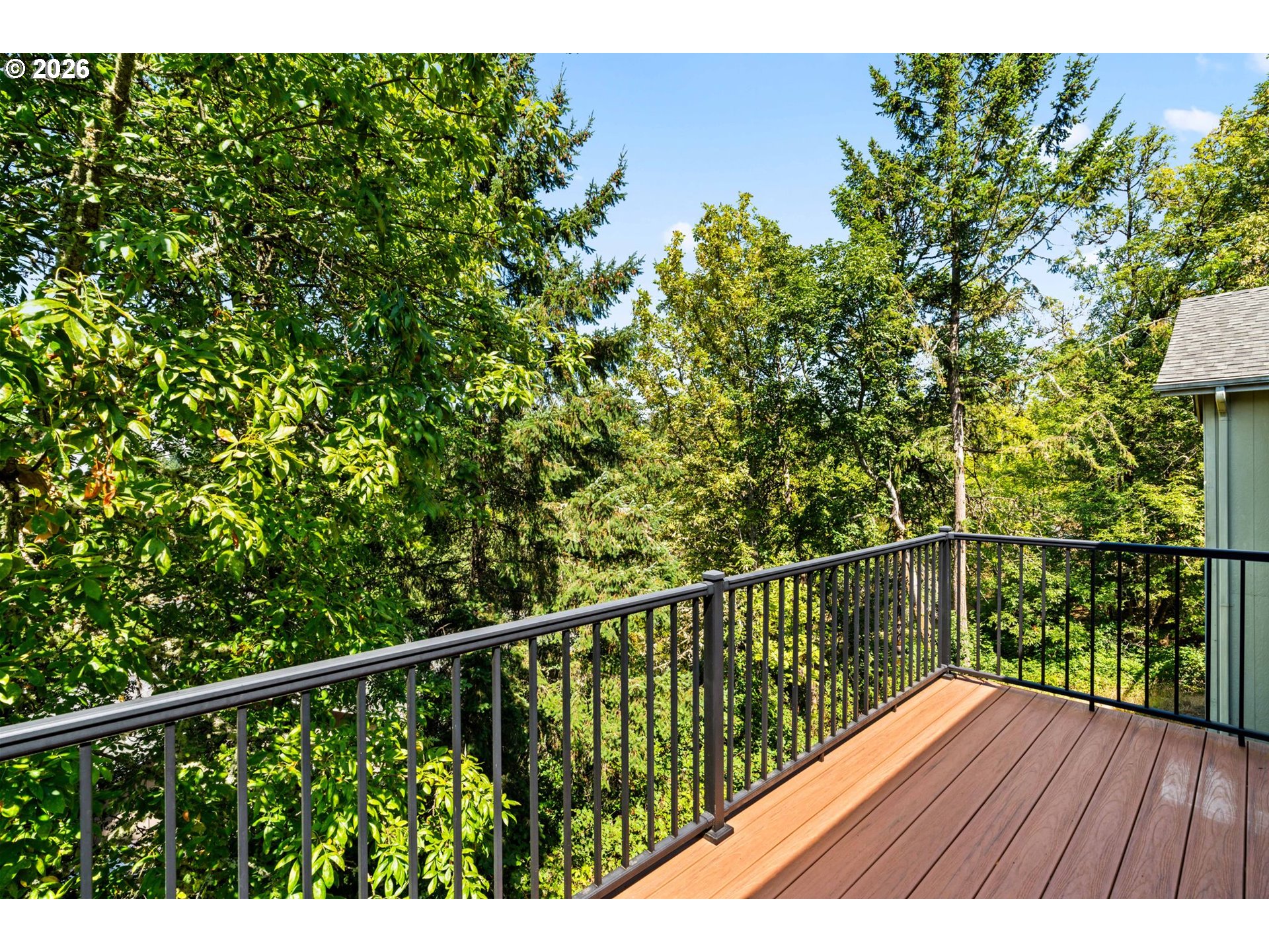 3388 Videra Dr Property Photo 29