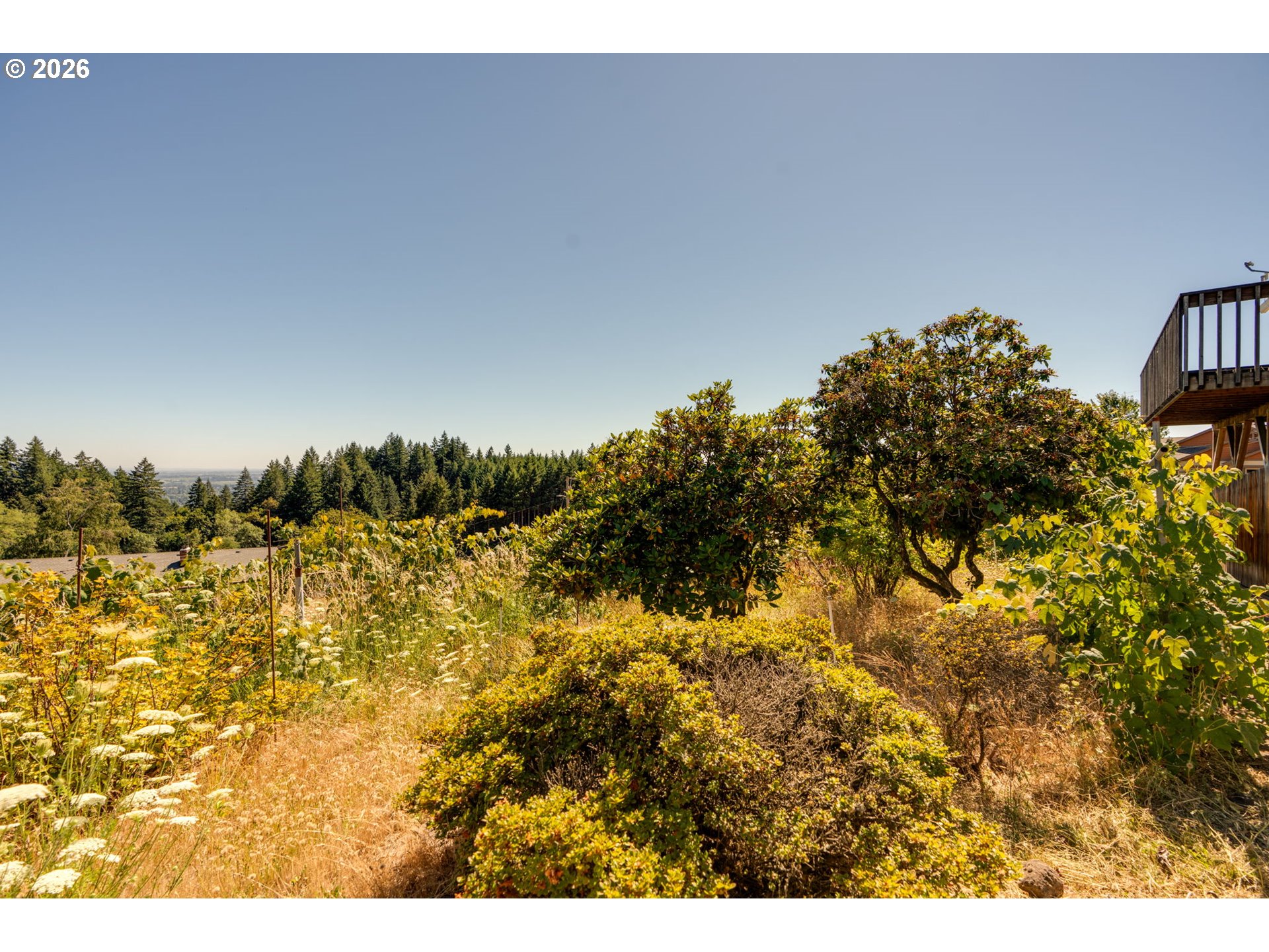 18108 Ne Bald Peak Ln Property Photo 5