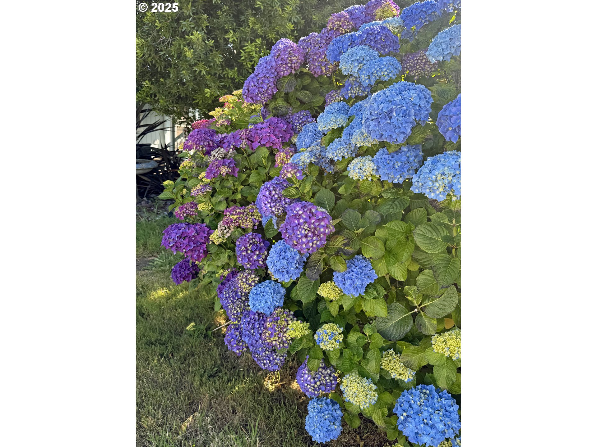 97882 Marks Ln Property Photo 12