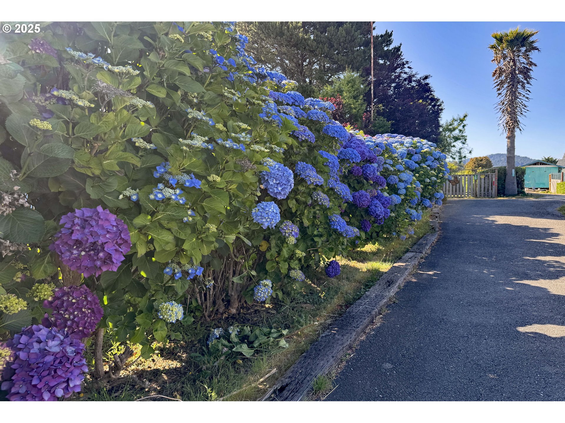 97882 Marks Ln Property Photo 28