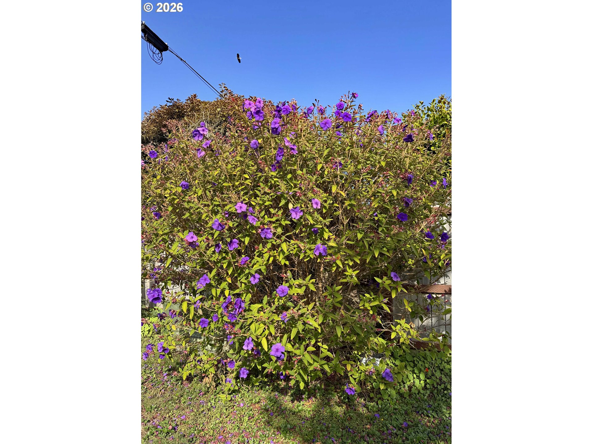 97882 Marks Ln Property Photo 34