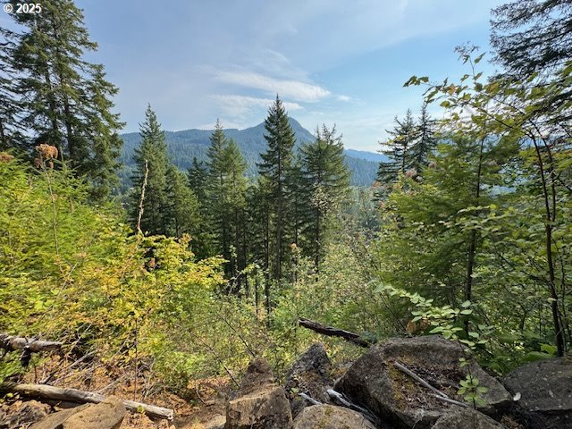 1281 Szydlo Rd Property Photo 8