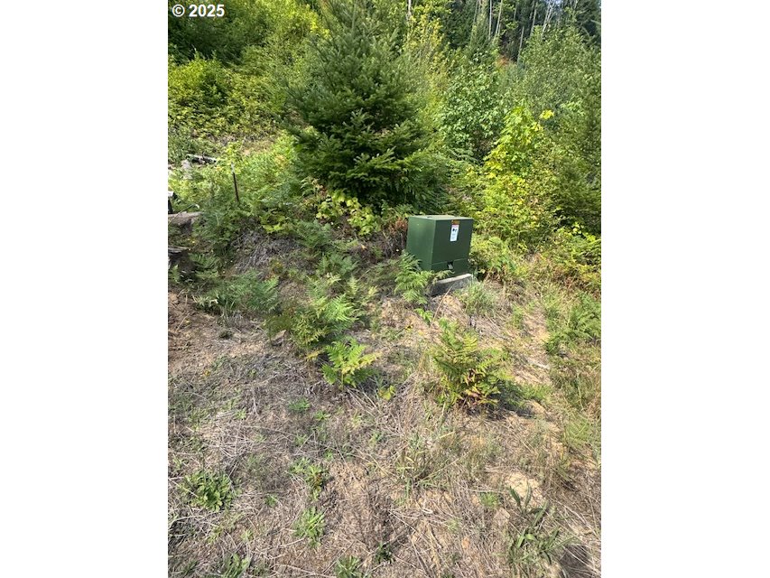 1281 Szydlo Rd Property Photo 19
