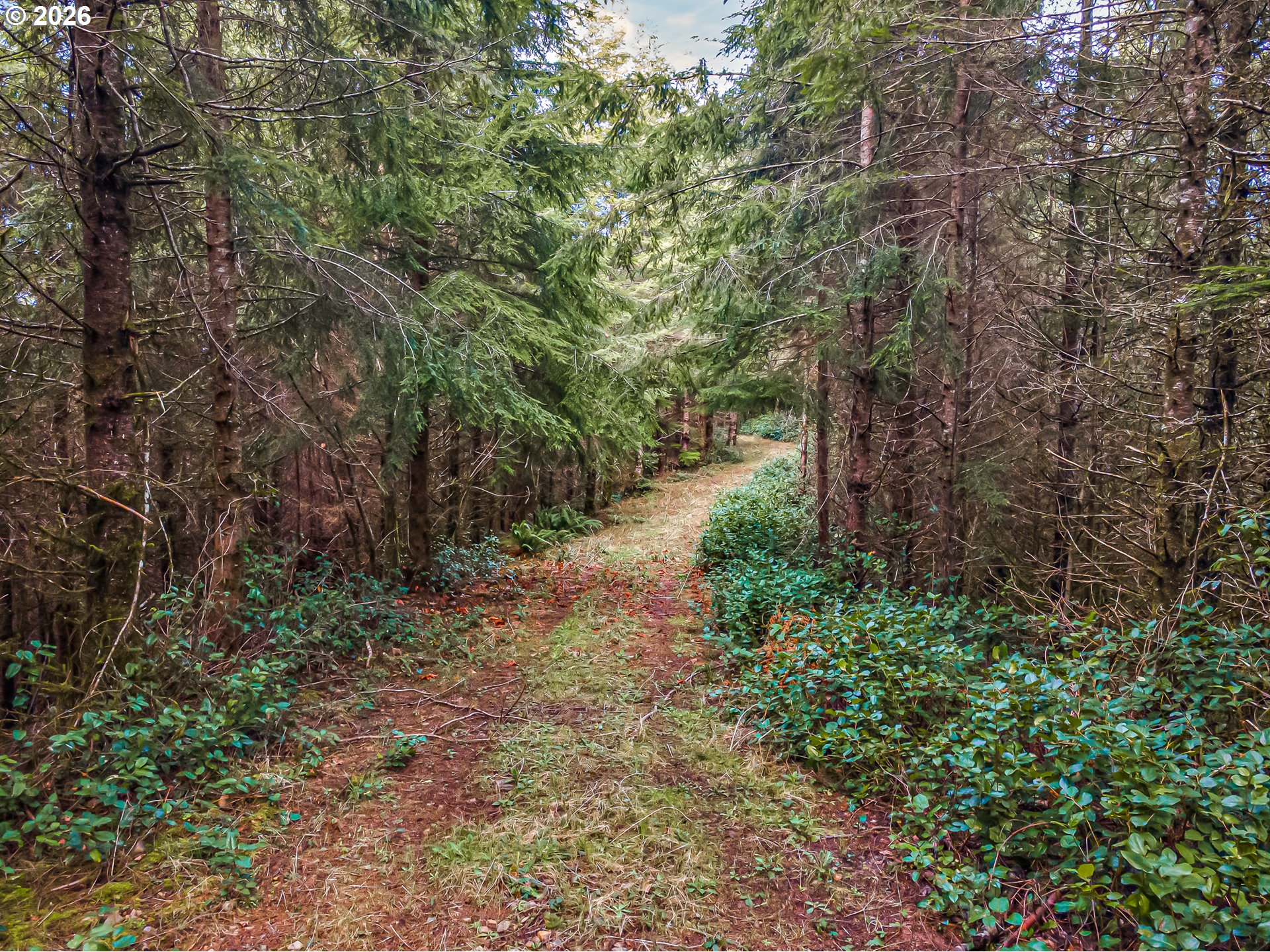 Criteser Loop Property Photo 2