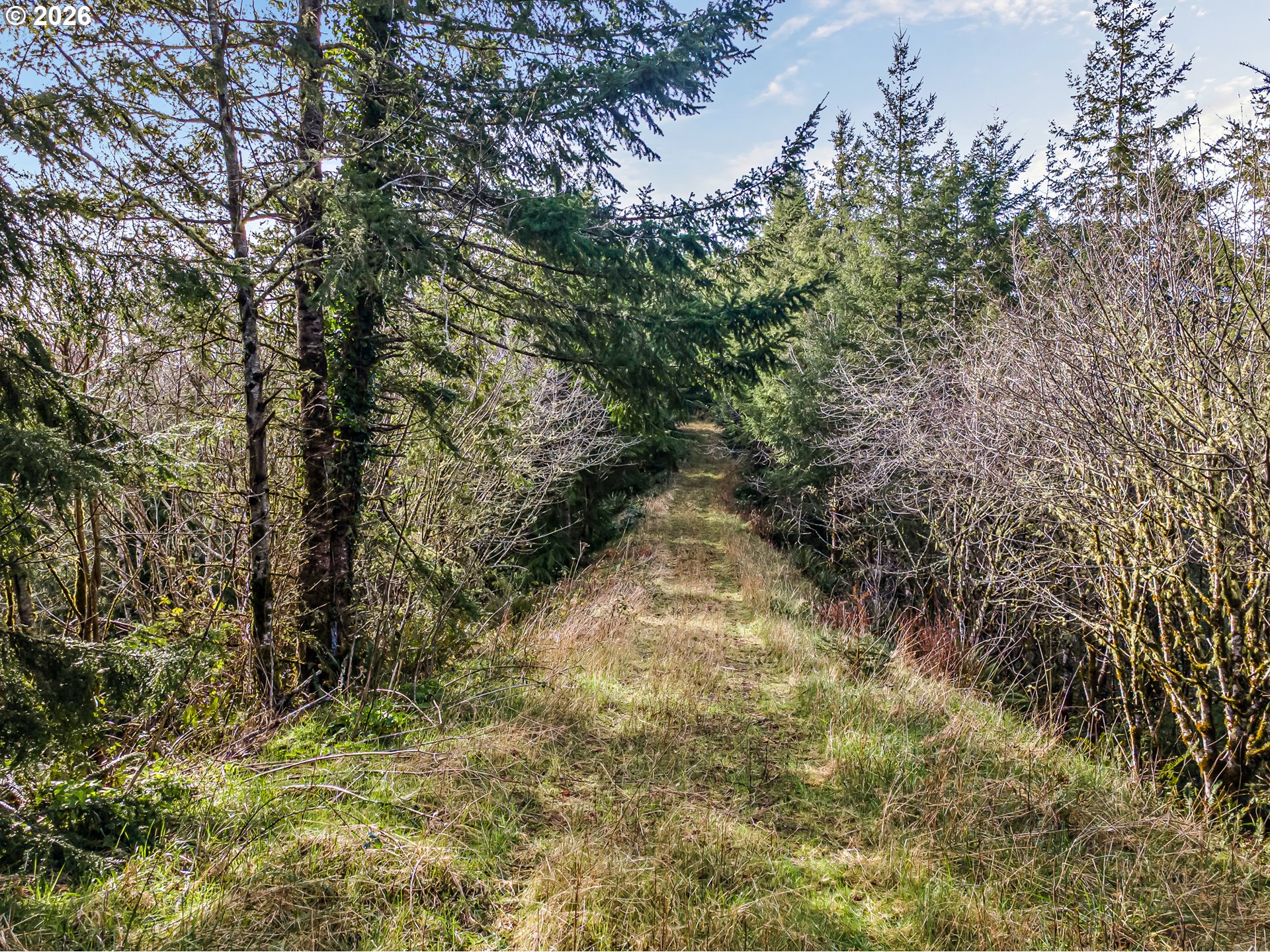 Criteser Loop Property Photo 10
