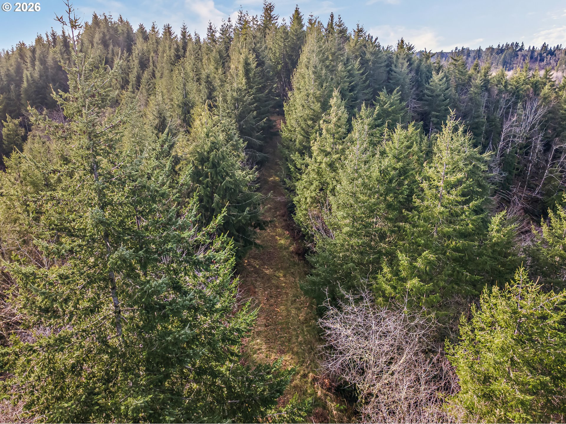 Criteser Loop Property Photo 11