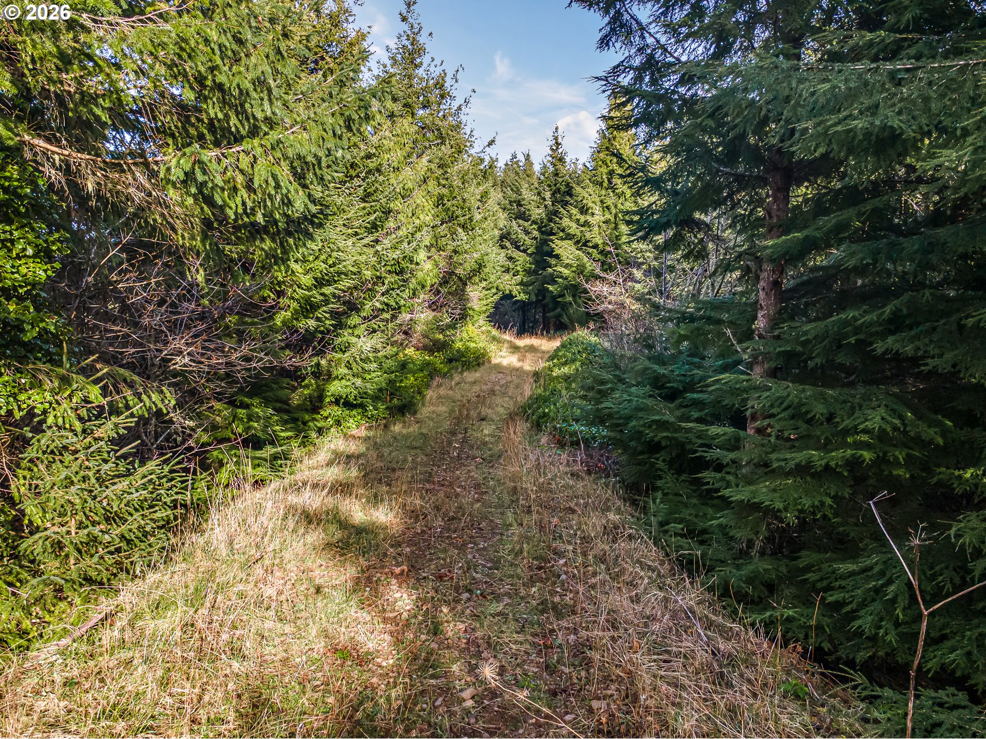 Criteser Loop Property Photo 15