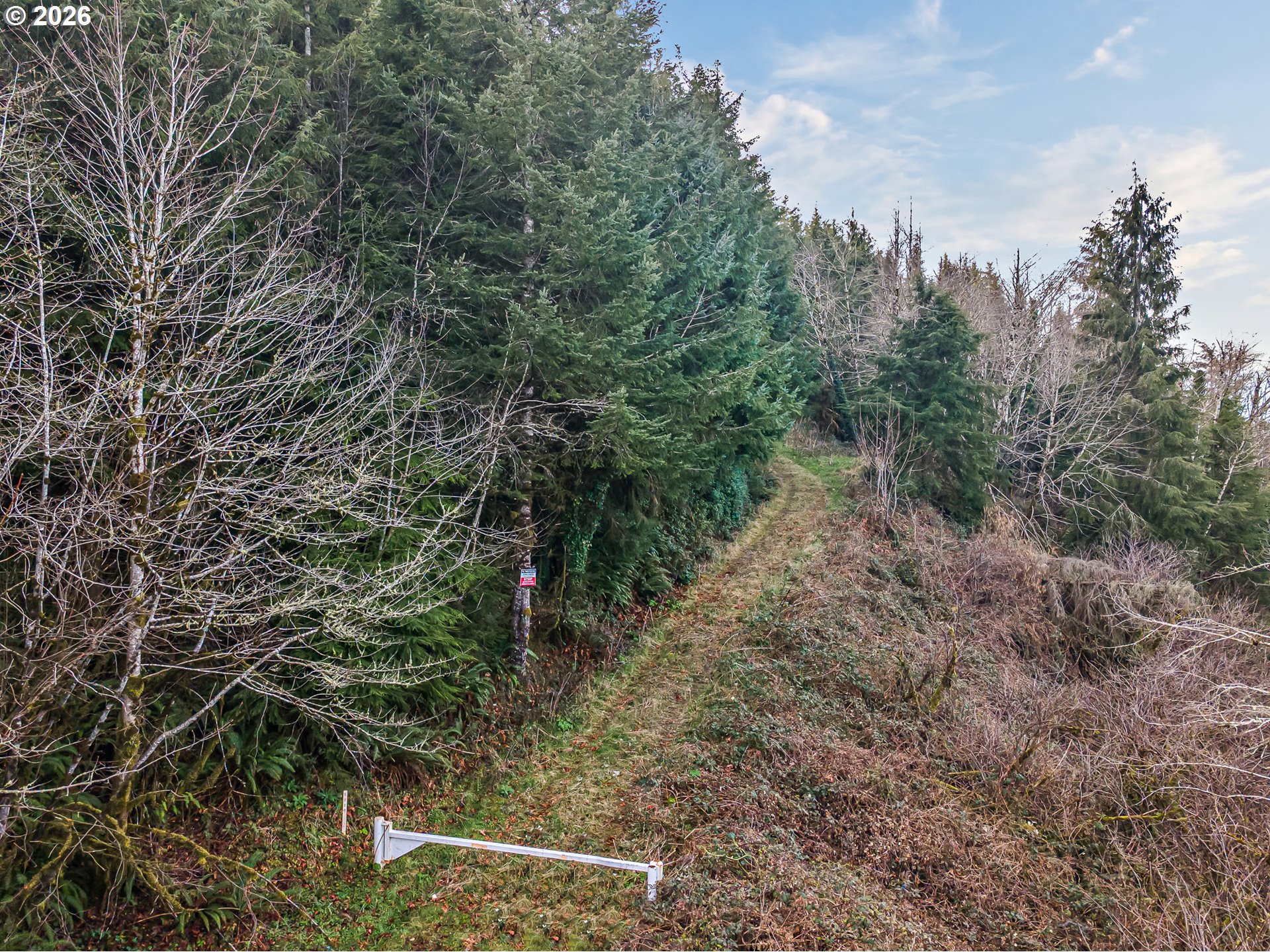 Criteser Loop Property Photo 19