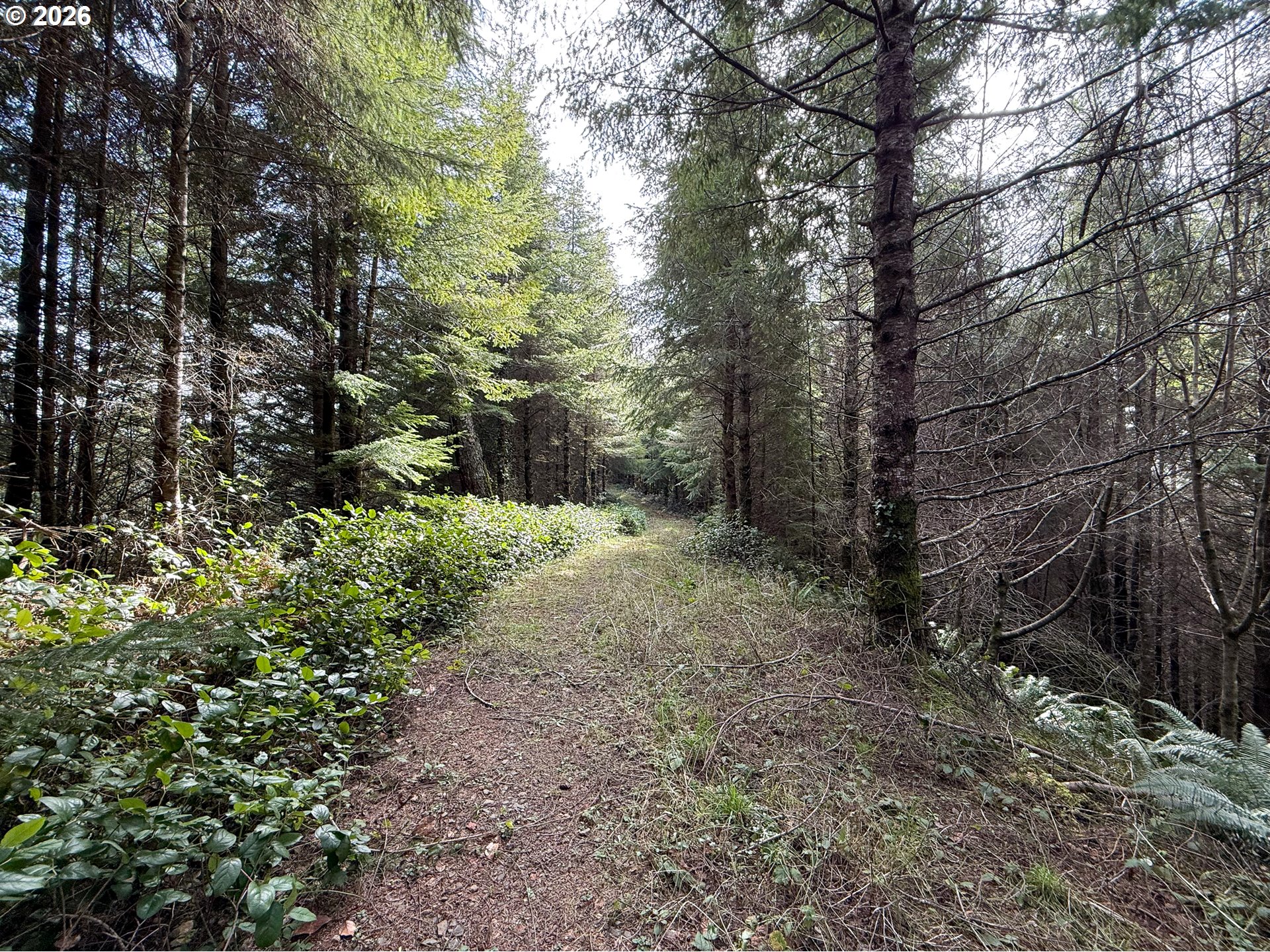 Criteser Loop Property Photo 24