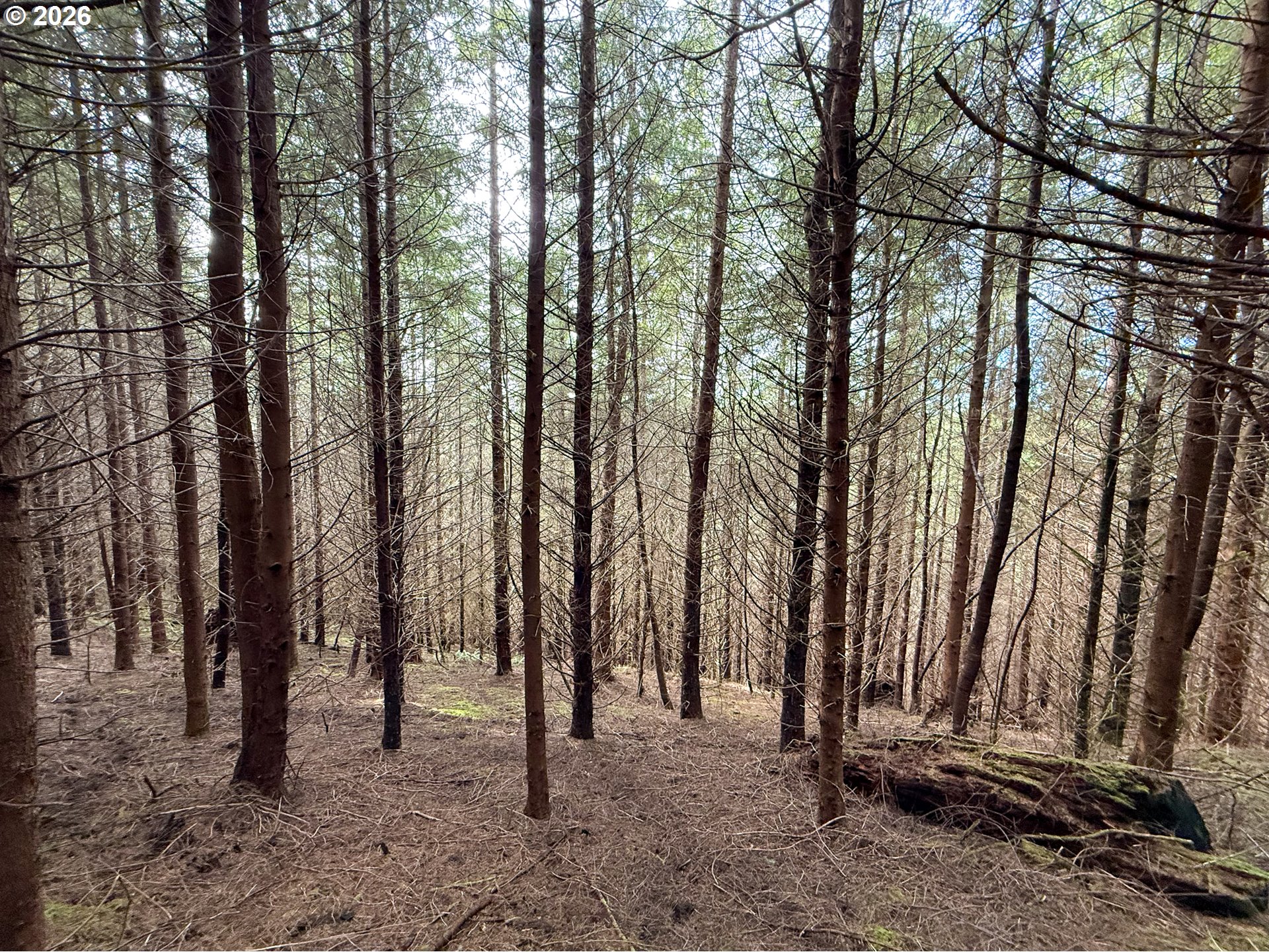 Criteser Loop Property Photo 27