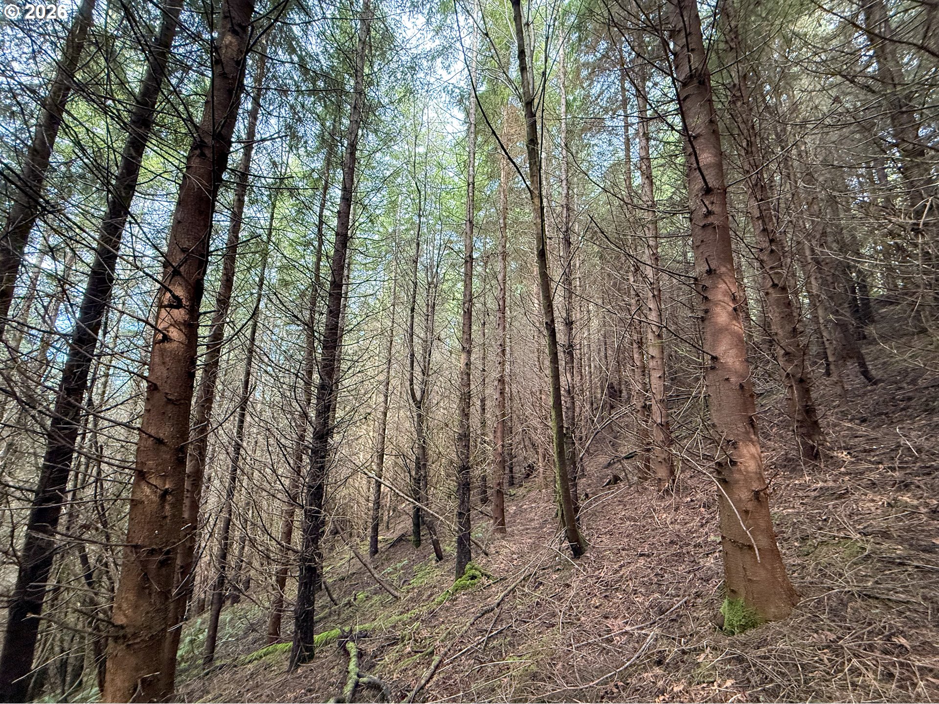 Criteser Loop Property Photo 28