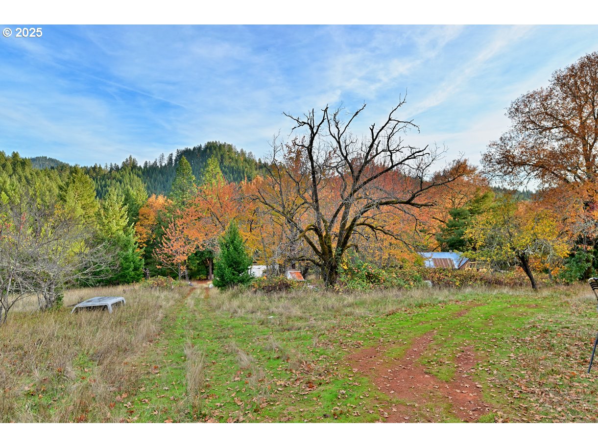 1480 Bridge Ln Property Photo 21